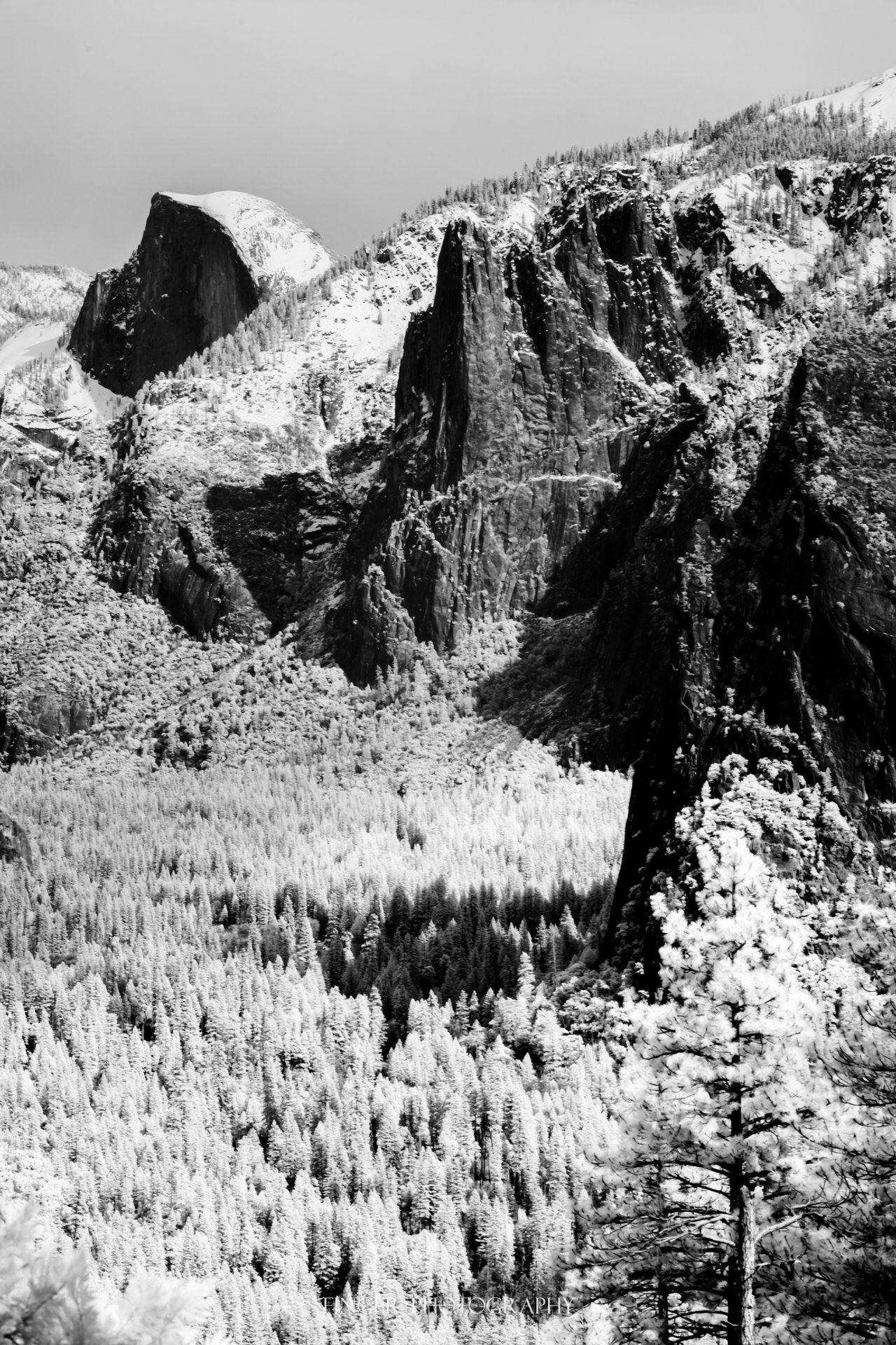 FingerPhotography-2024-Yosemite-6265.jpg
