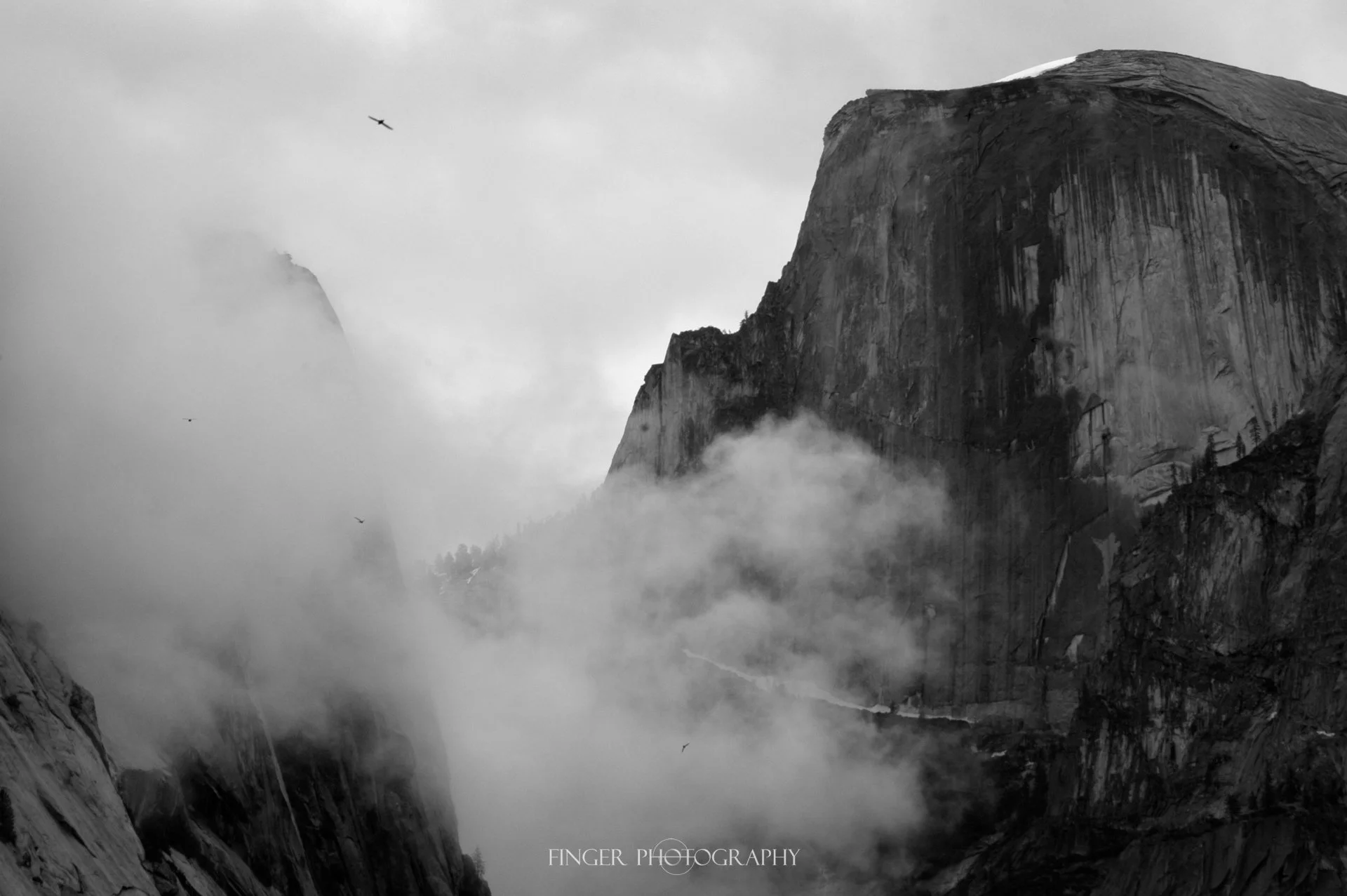 Black and White Photograph of Half Dome and dramatic fog with birds flying