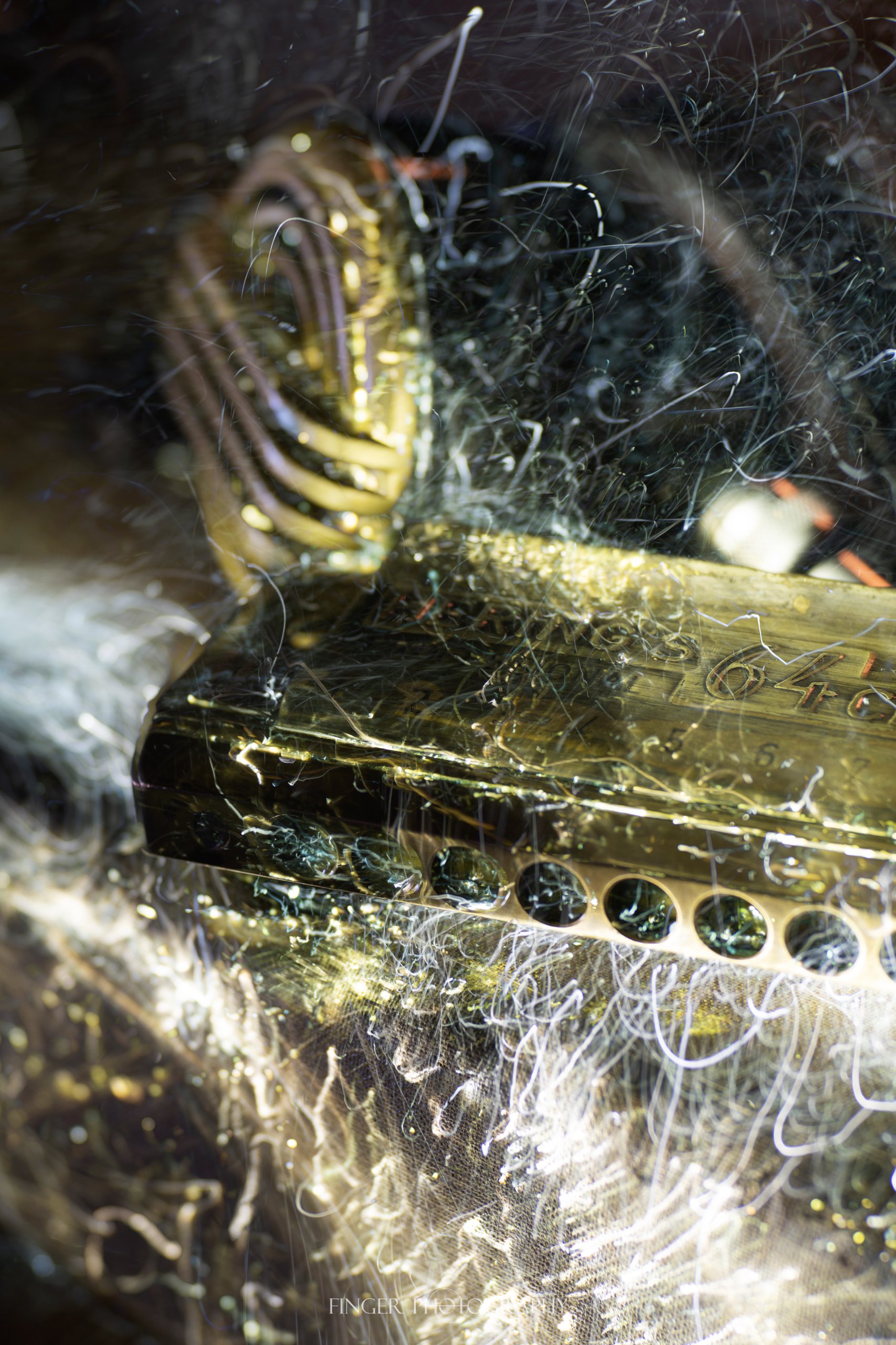 FingerPhotography-BFO-Harmonica.jpg