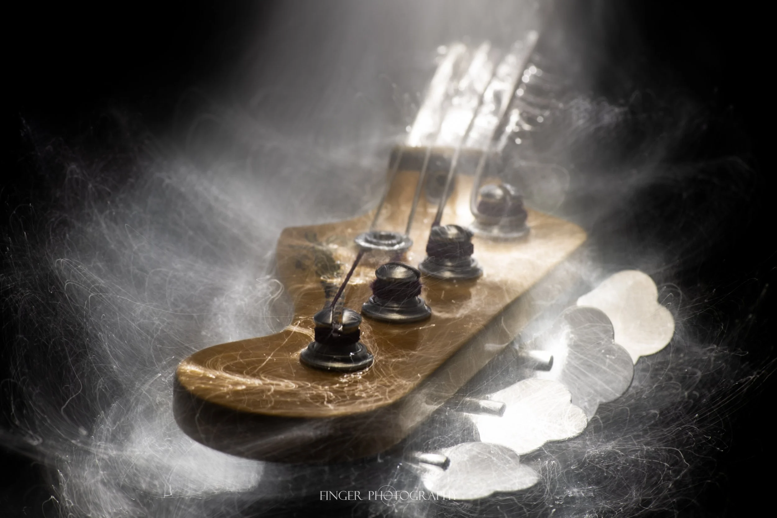 FingerPhoto-FiberO-JazzBass-39721.jpg