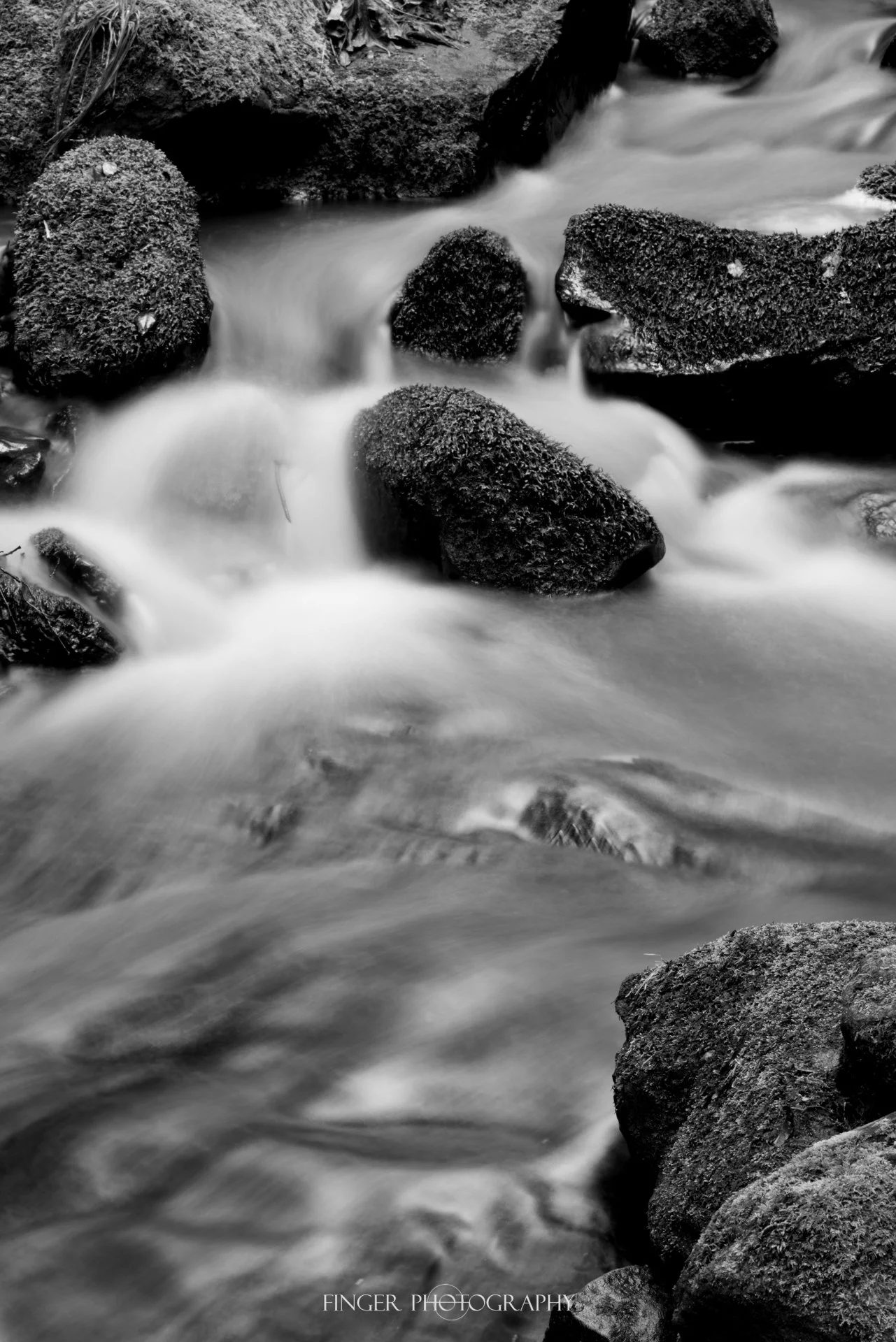 FingerPhotography-SCMtns-9138.jpg