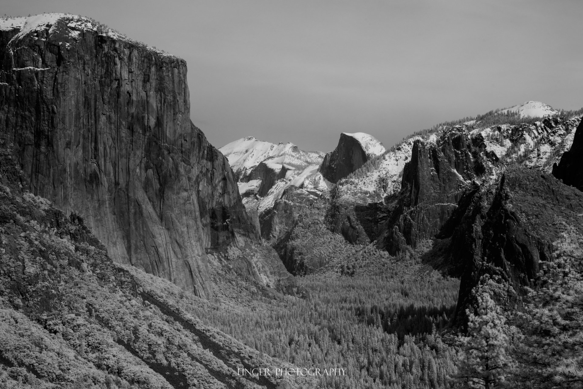 FingerPhotography-2024-Yosemite-6269.jpg