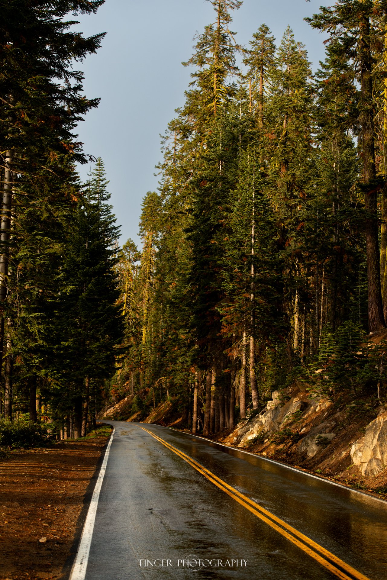 FingerPhotography-2021-Yosemite-5300.jpg