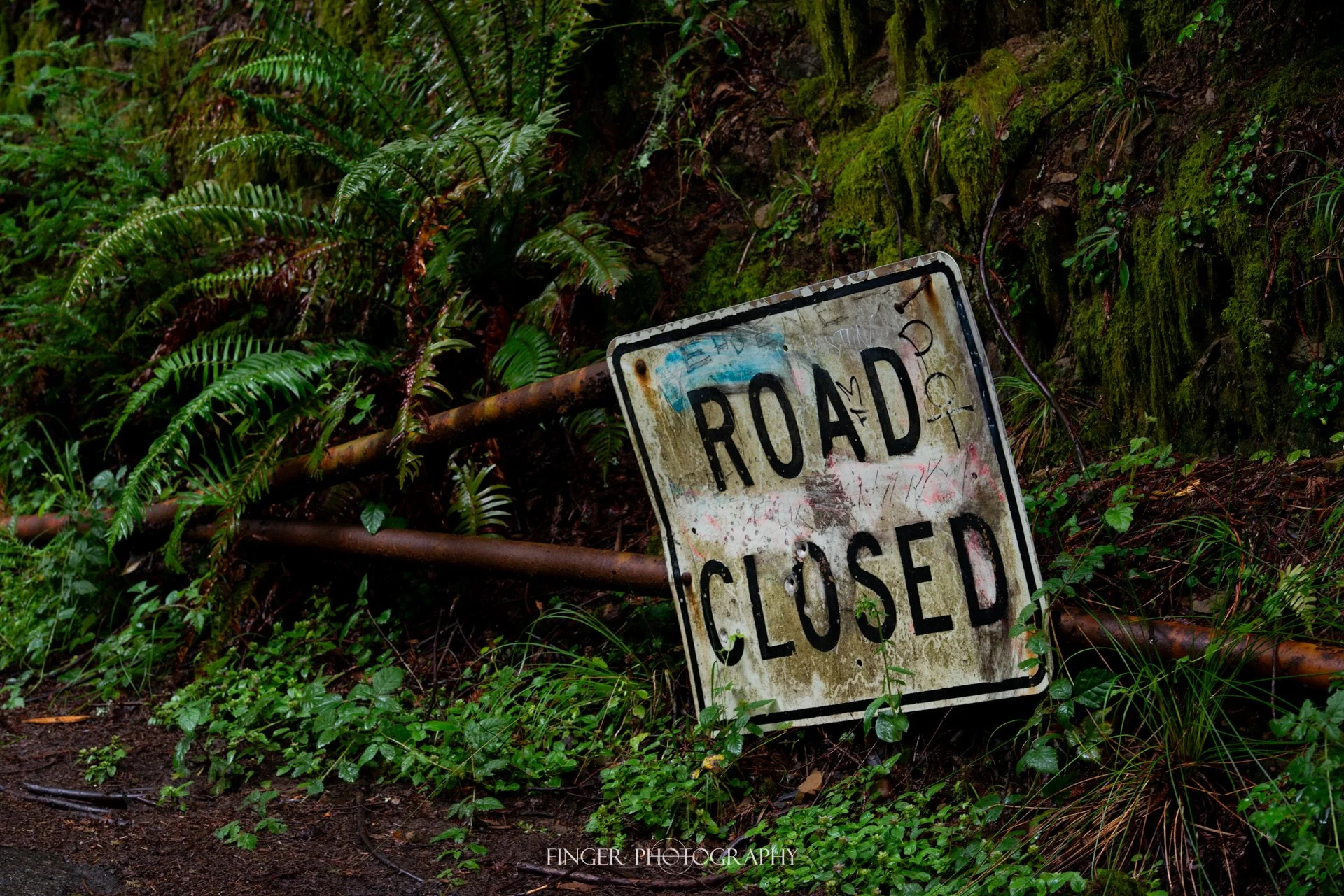 FingerPhotography-2021-MtTam-1332.jpg