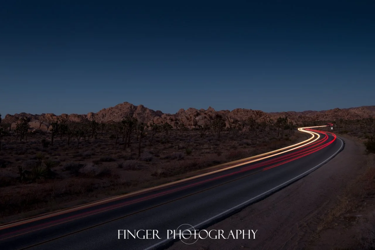 FingerPhotography-JoshuaTree-6906.jpg