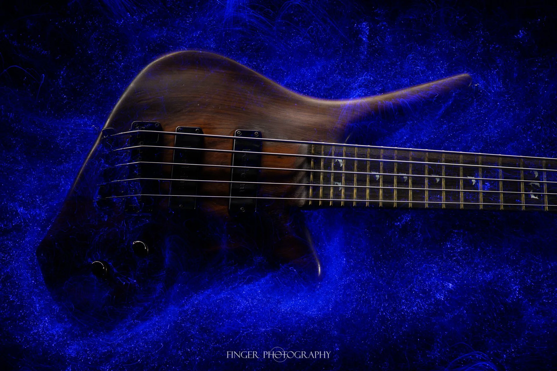 FingerPhotography-Warwick-DolphinPro1-09.jpg