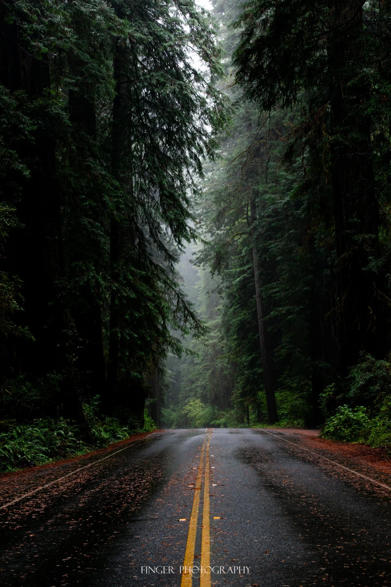 FingerPhotography-2021-RainyDay-2191.jpg