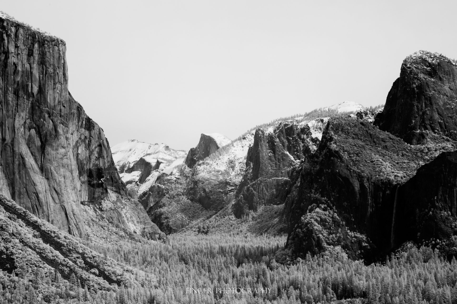 FingerPhotography-2024-Yosemite-6230.jpg