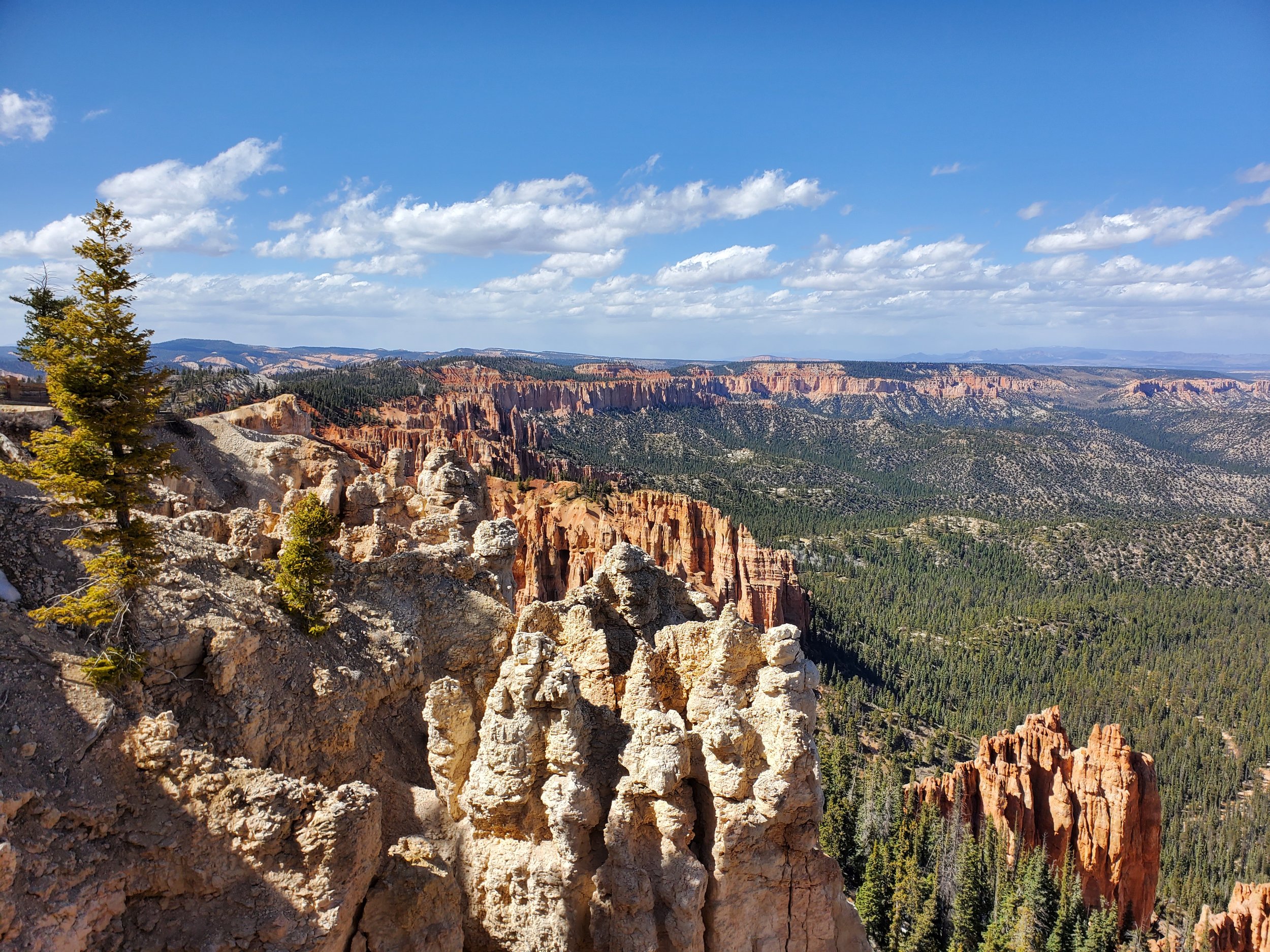 Looking over Bryce Canyon National Park