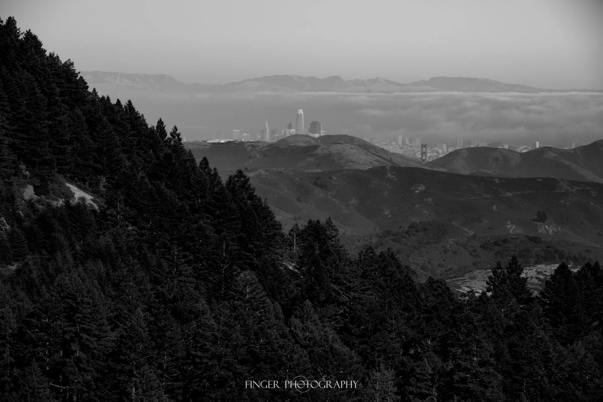 FingerPhotography-C-MountTam-9088.jpg