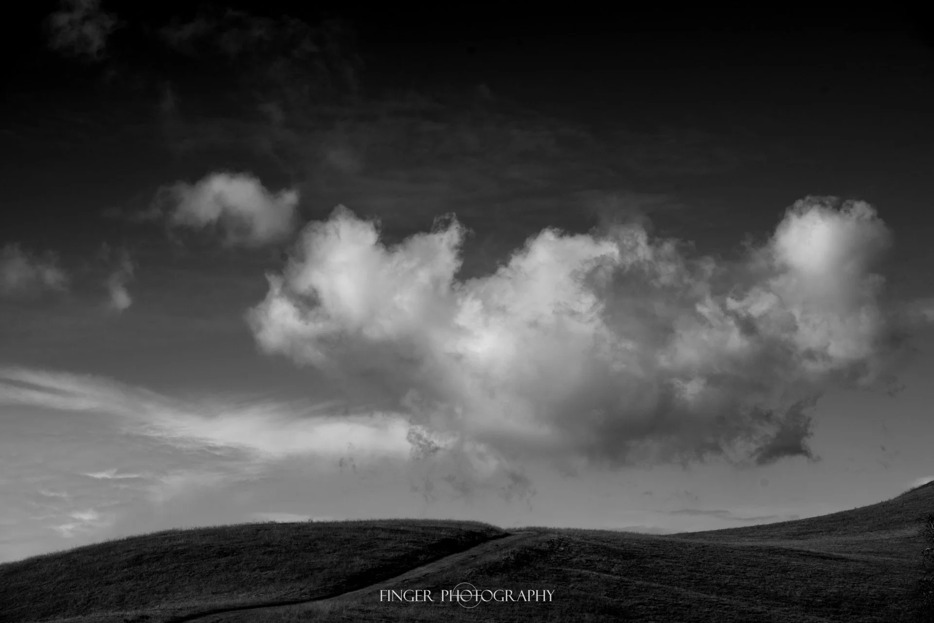 FingerPhotography-2020MtHamilton-1594.jpg
