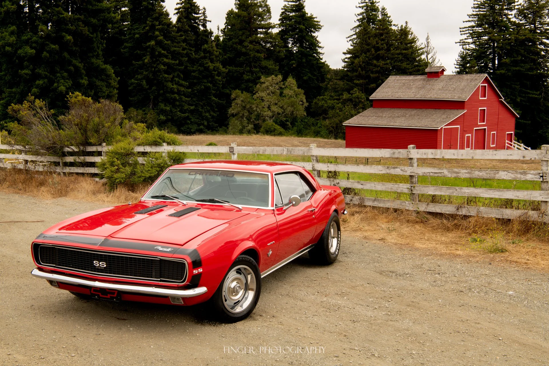 FingerPhoto-2025-1967Camaro-4287.jpg