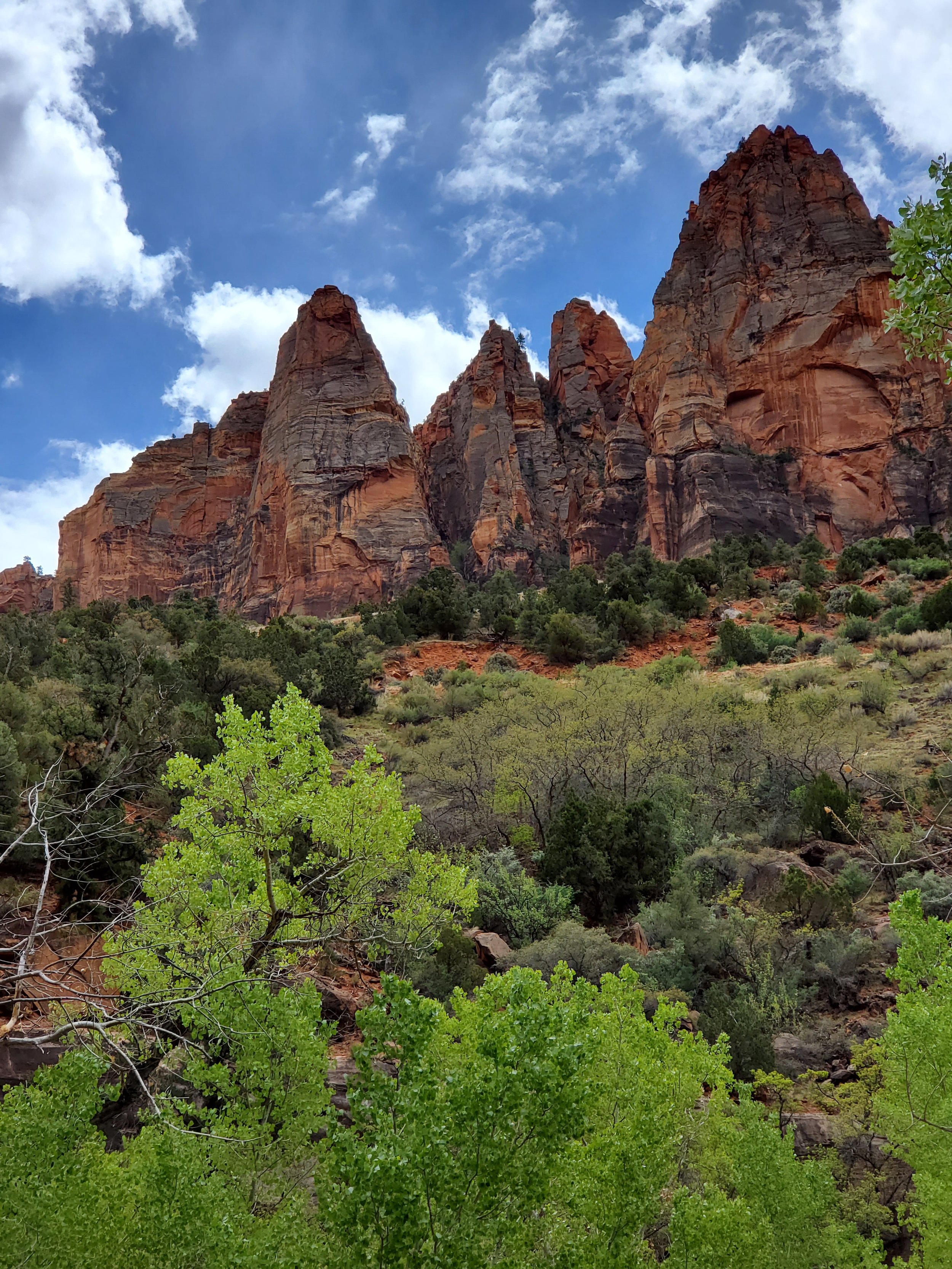Mountains in Zion National Park