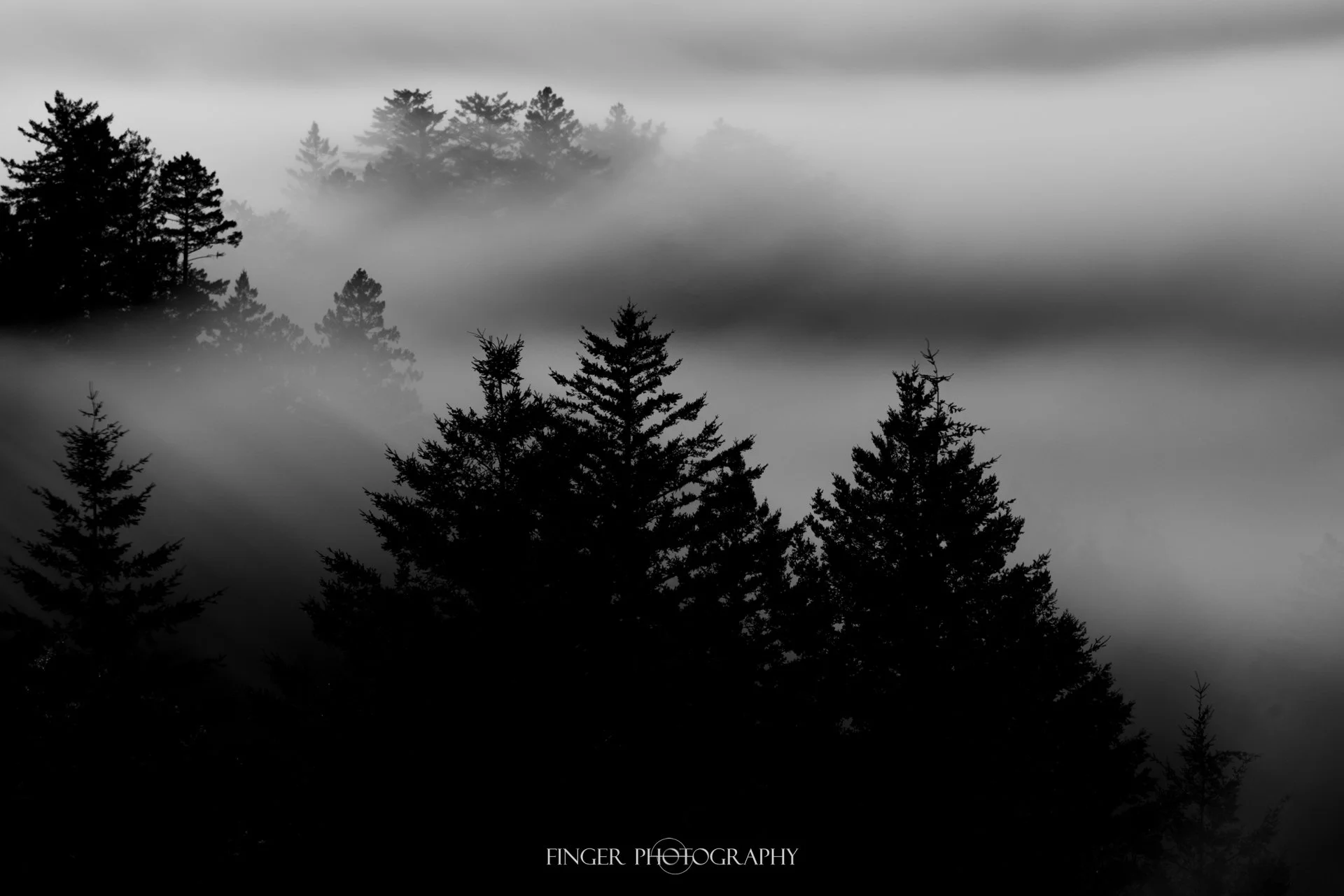 FingerPhotography-RussianRidge-8689.jpg