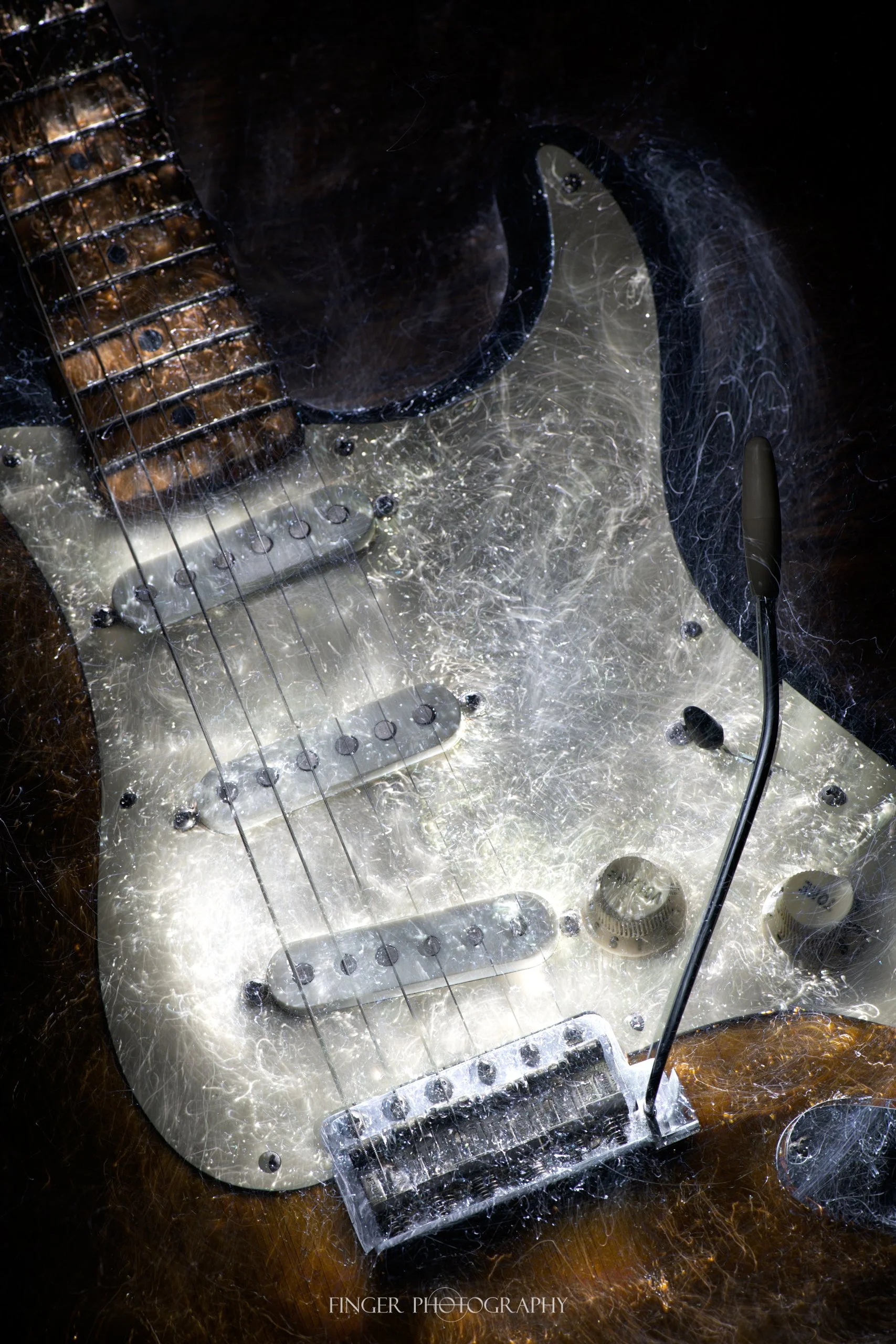 FingerPhoto-2023-FenderStrat-2720.jpg