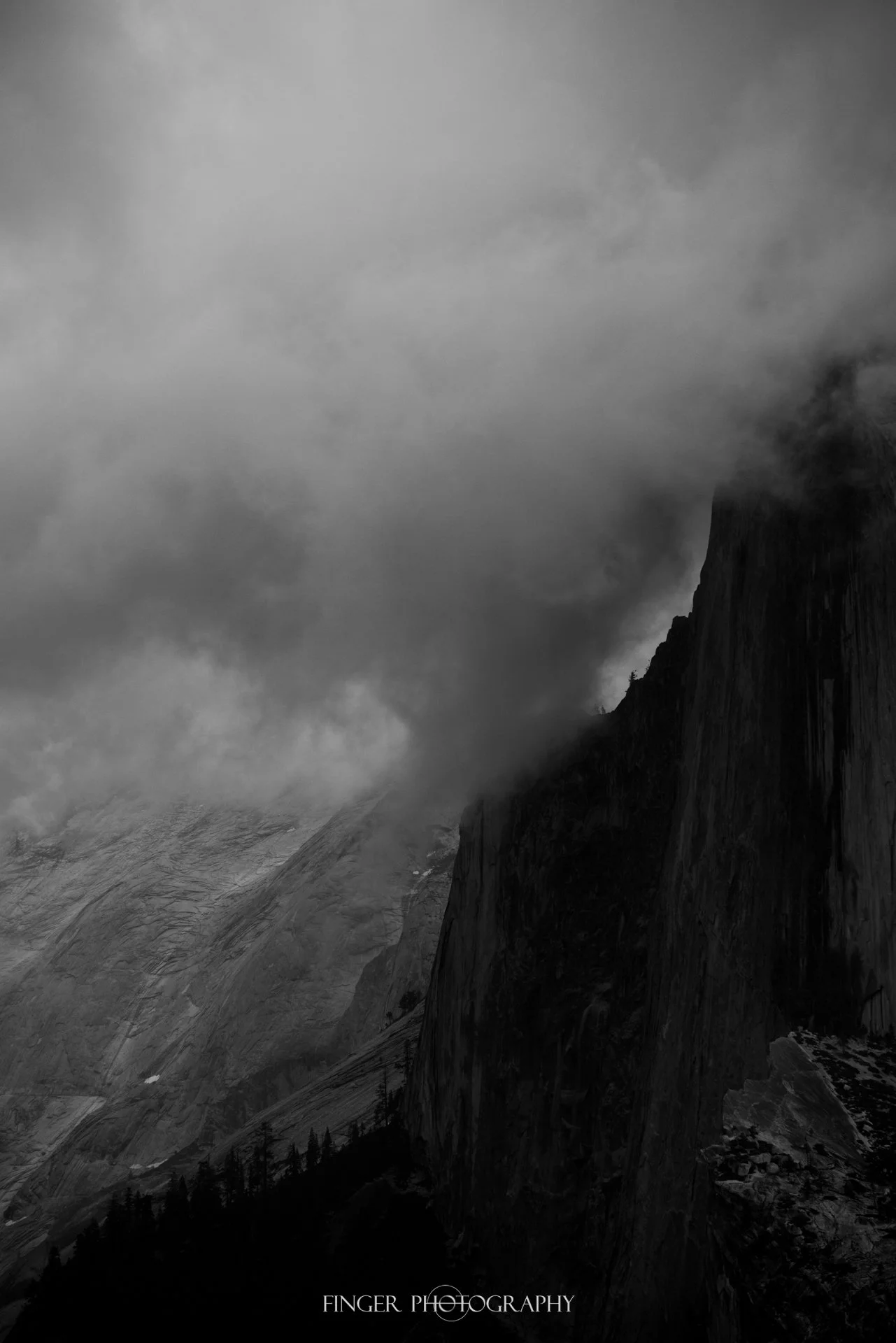 FingerPhotography-2021-Yosemite-5177.jpg