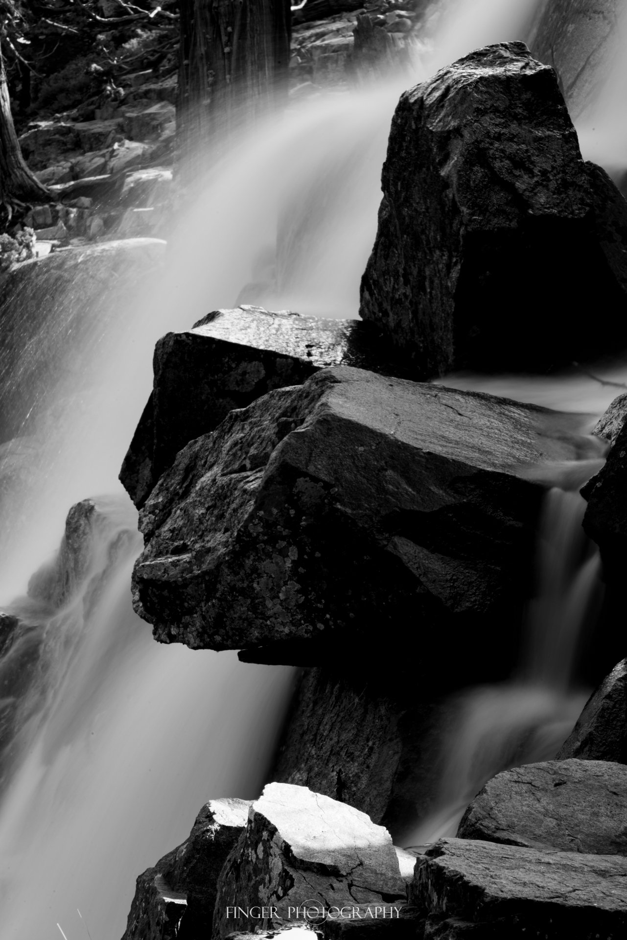 FingerPhotography-2021-SouthLakeTahoe-5390.jpg