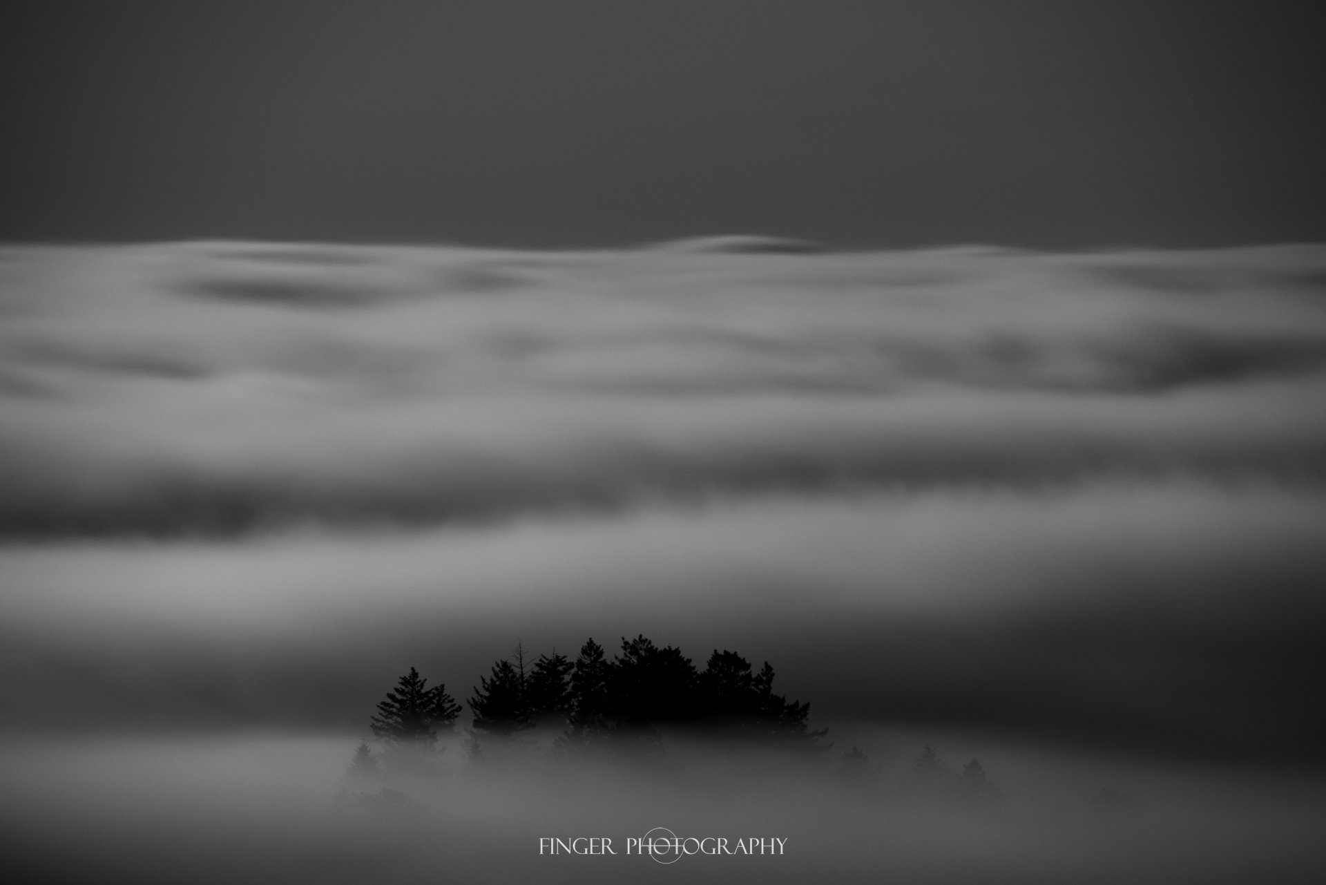 FingerPhotography-RussianRidge-8695.jpg