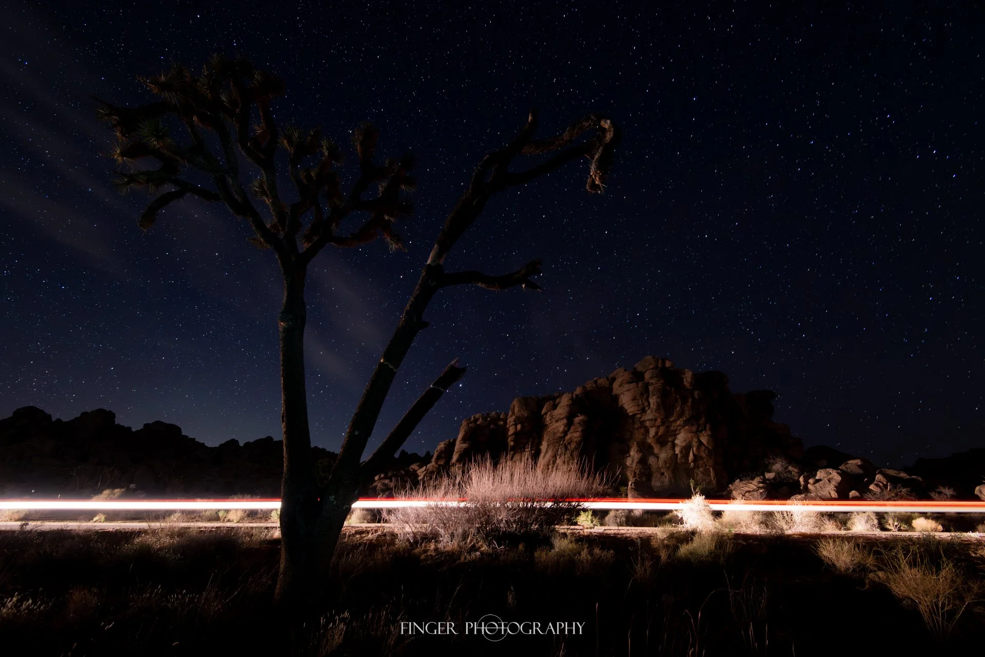 FingerPhotography-2021-CA-JTree-9820-Enhanced-NR.jpg