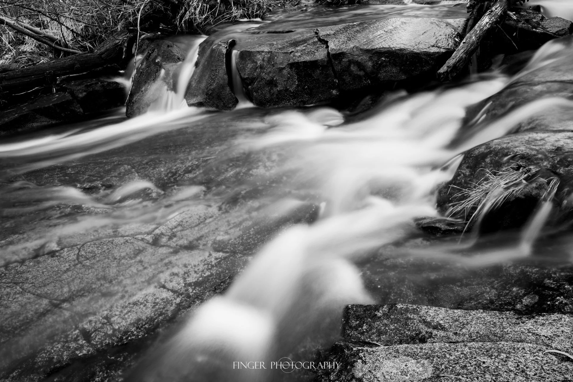 FingerPhotography-2021-Cascade-4583.jpg
