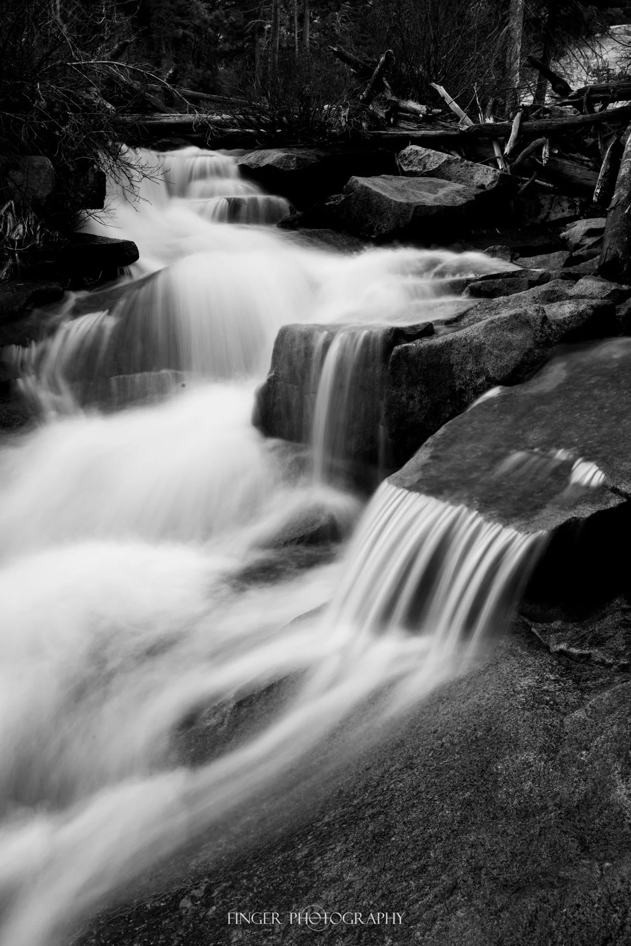 FingerPhotography-2021-Cascade-4643.jpg