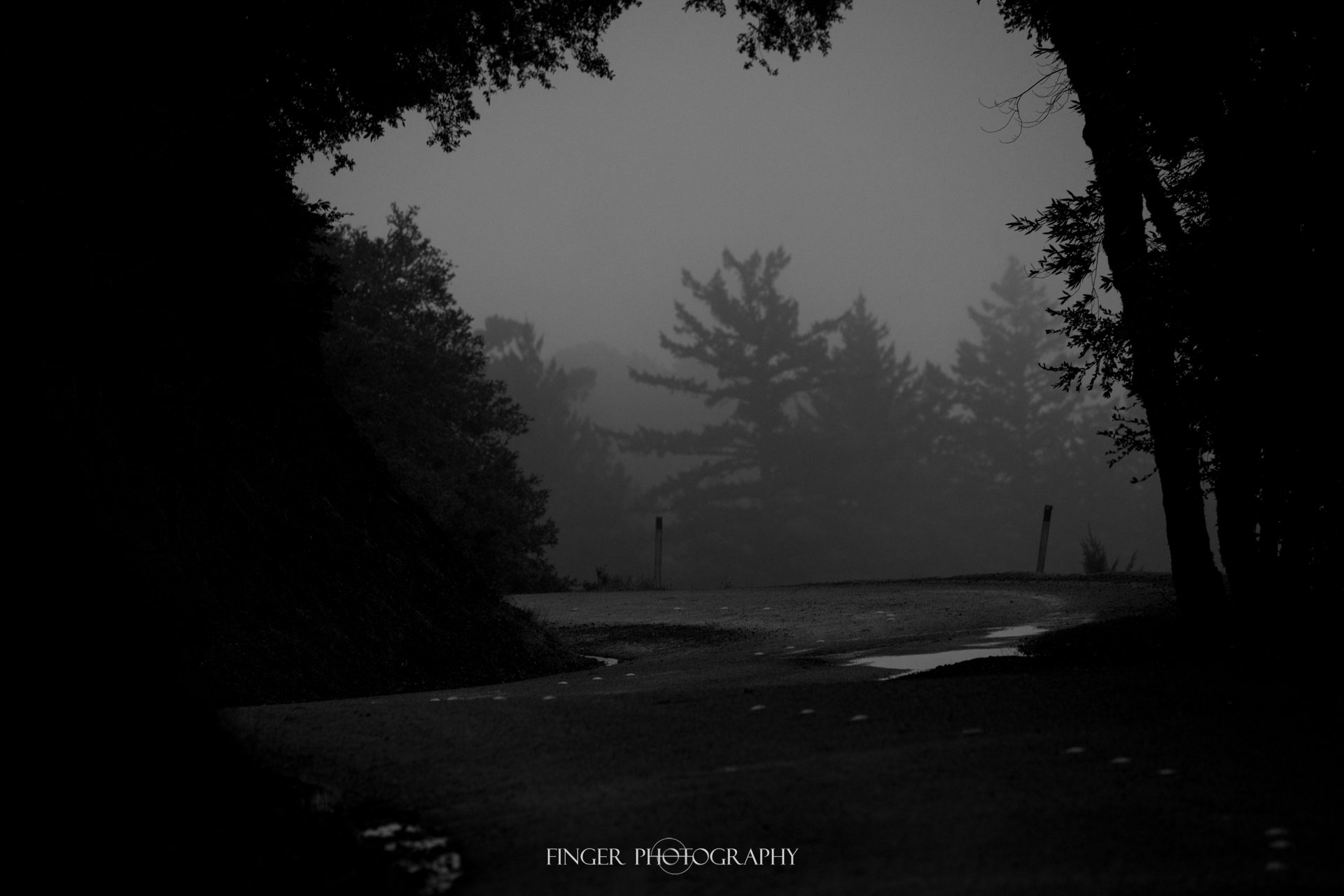 FingerPhotography-MonteBello-3779.jpg