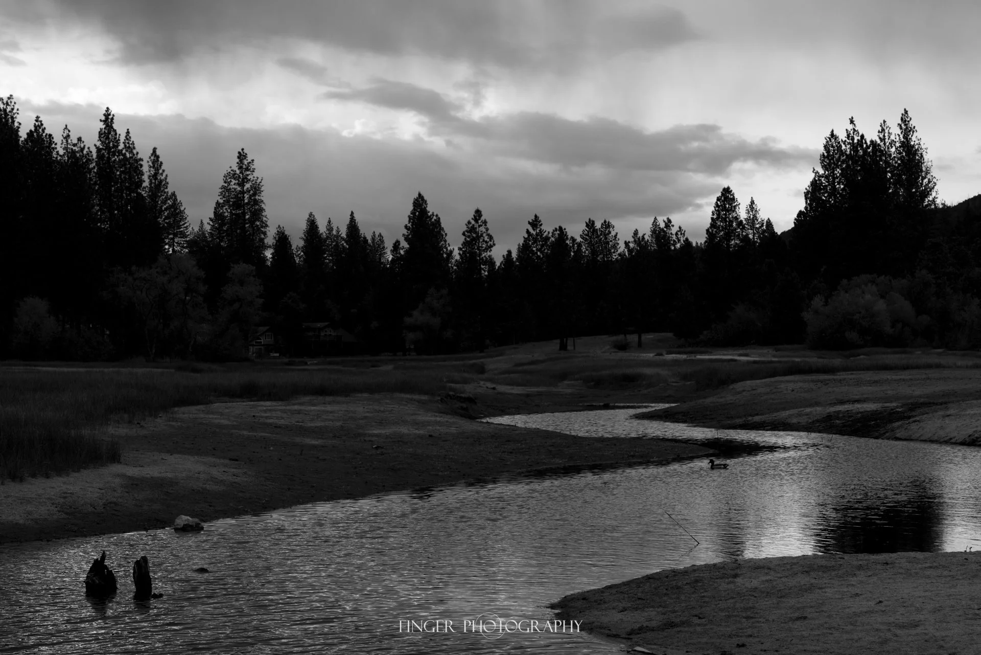 FingerPhotography-2021-BassLake-6176.jpg