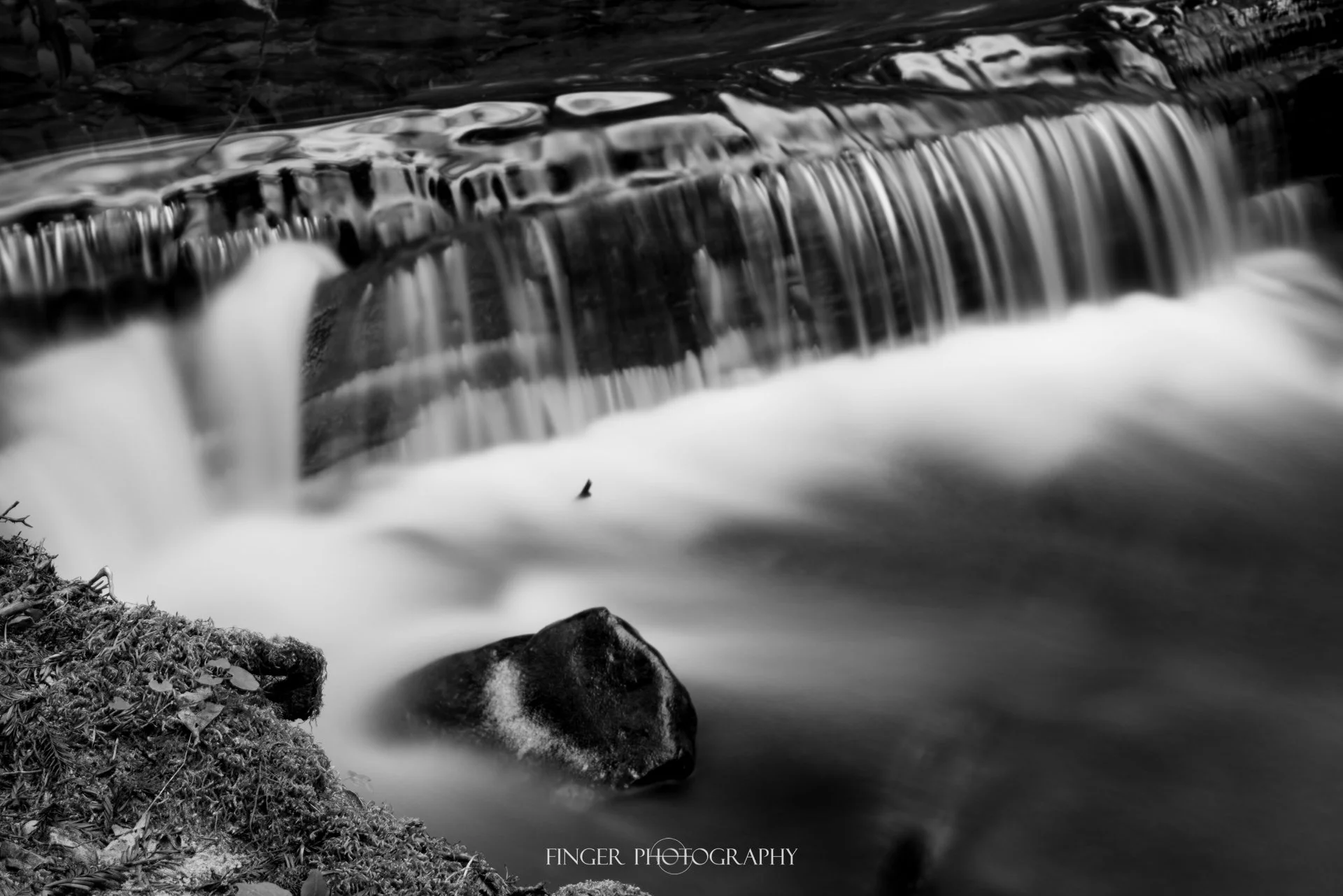 FingerPhotography-GazosCreek-8760.jpg