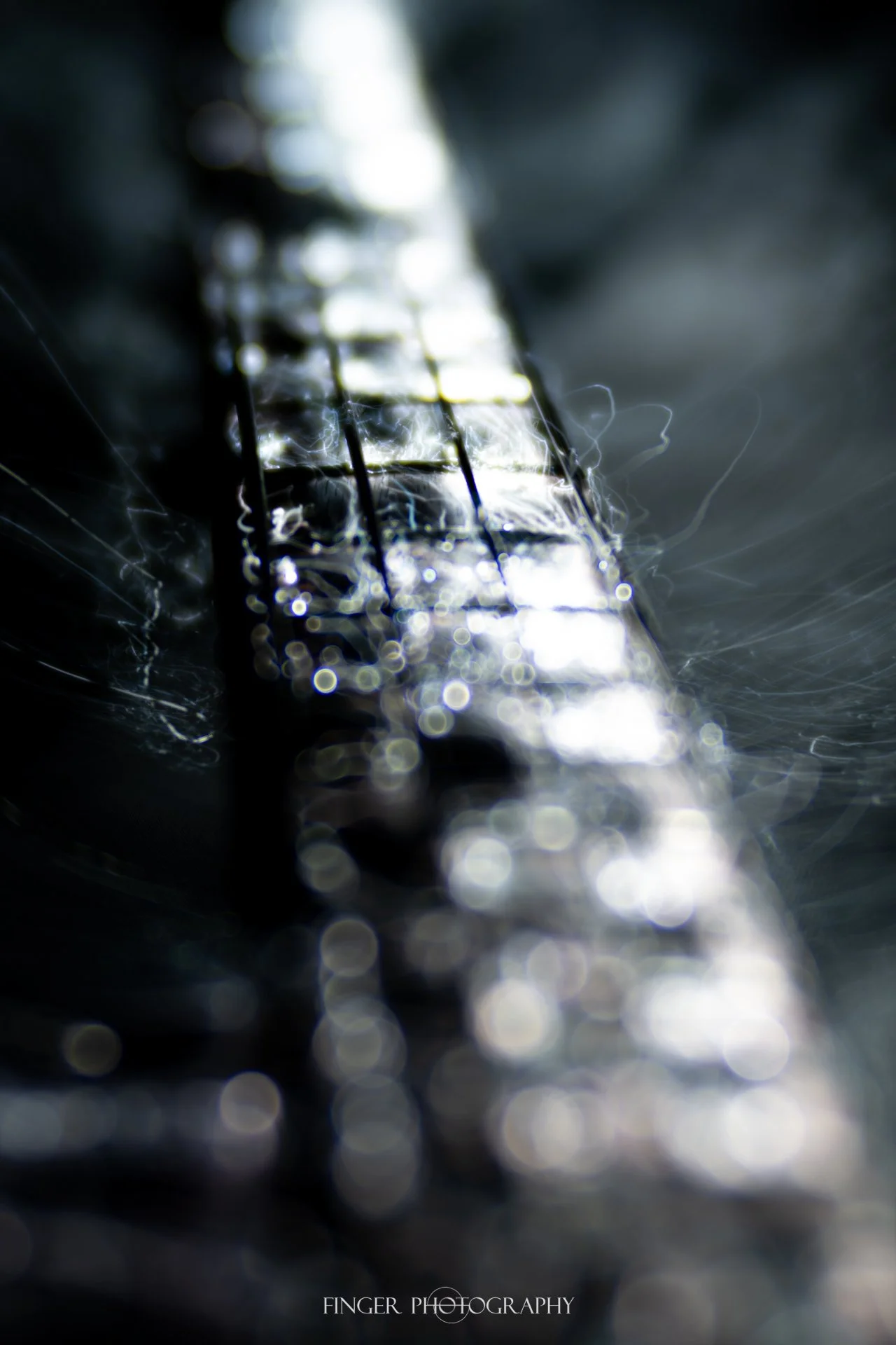 FingerPhoto-BFO-MusicMan-35443.jpg