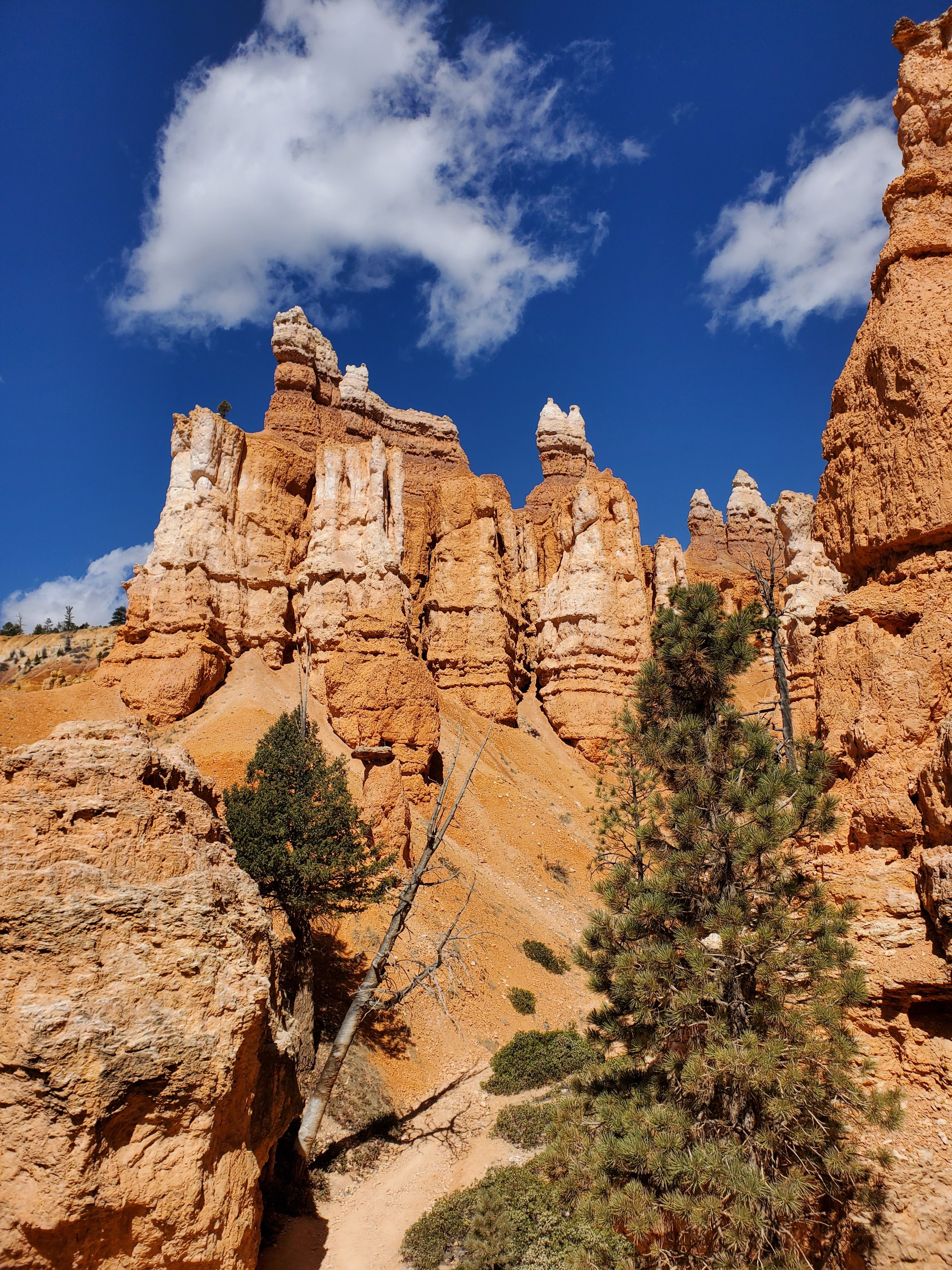 Hoodoo in Bryce Canyon National Park