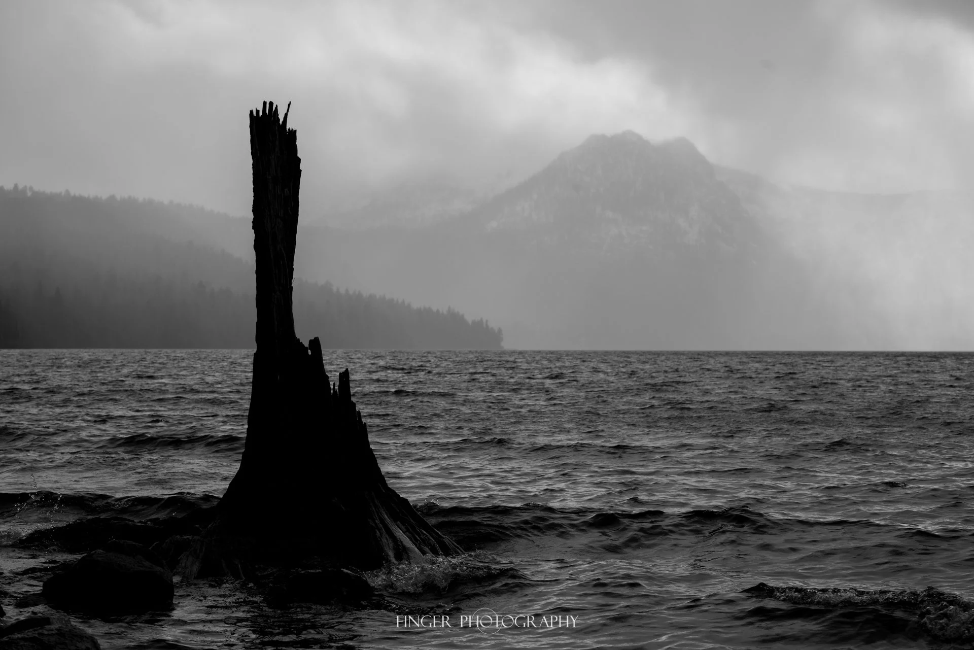 FingerPhotography-2021-SouthLakeTahoe-5011.jpg