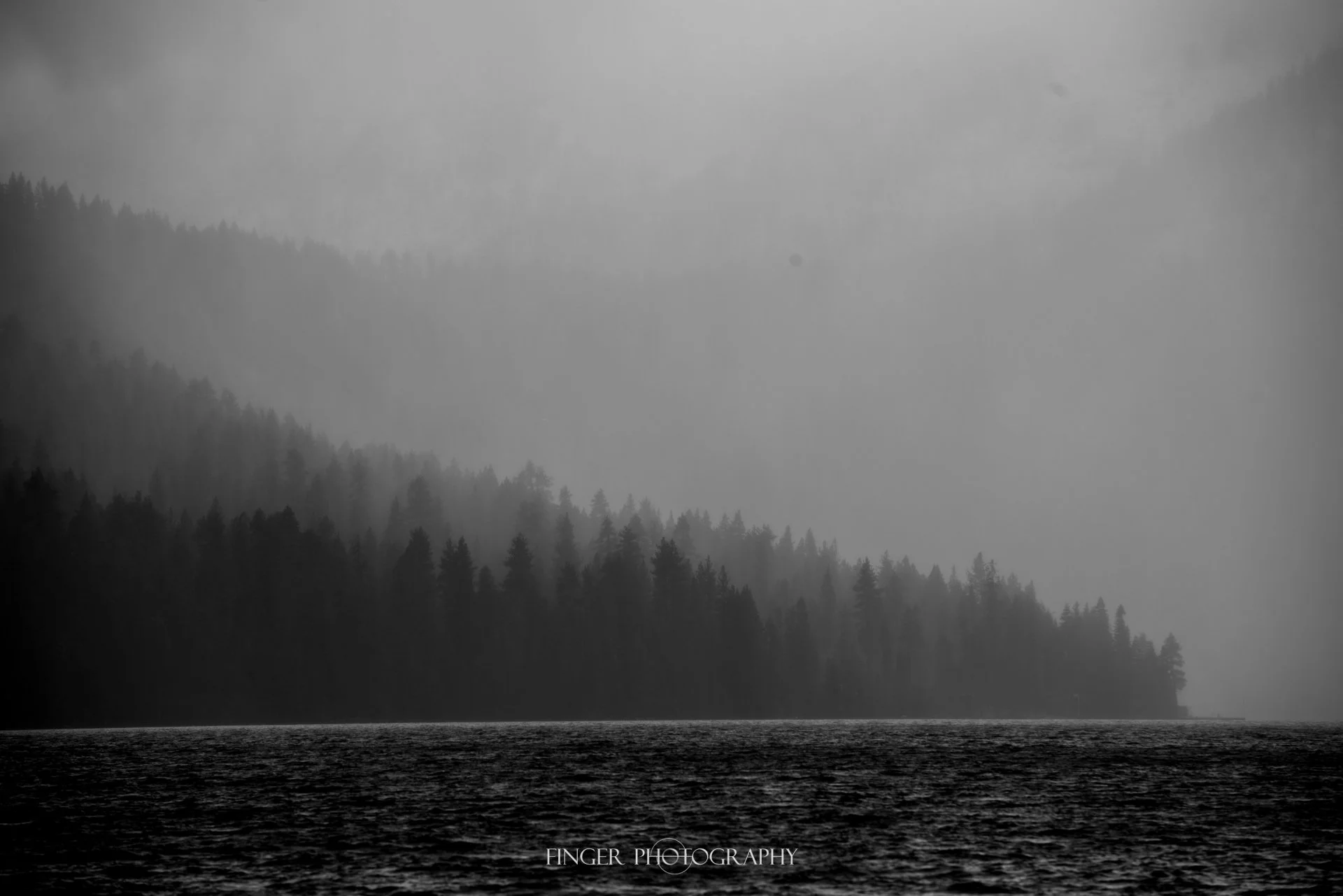 FingerPhotography-2021-SouthLakeTahoe-5037.jpg