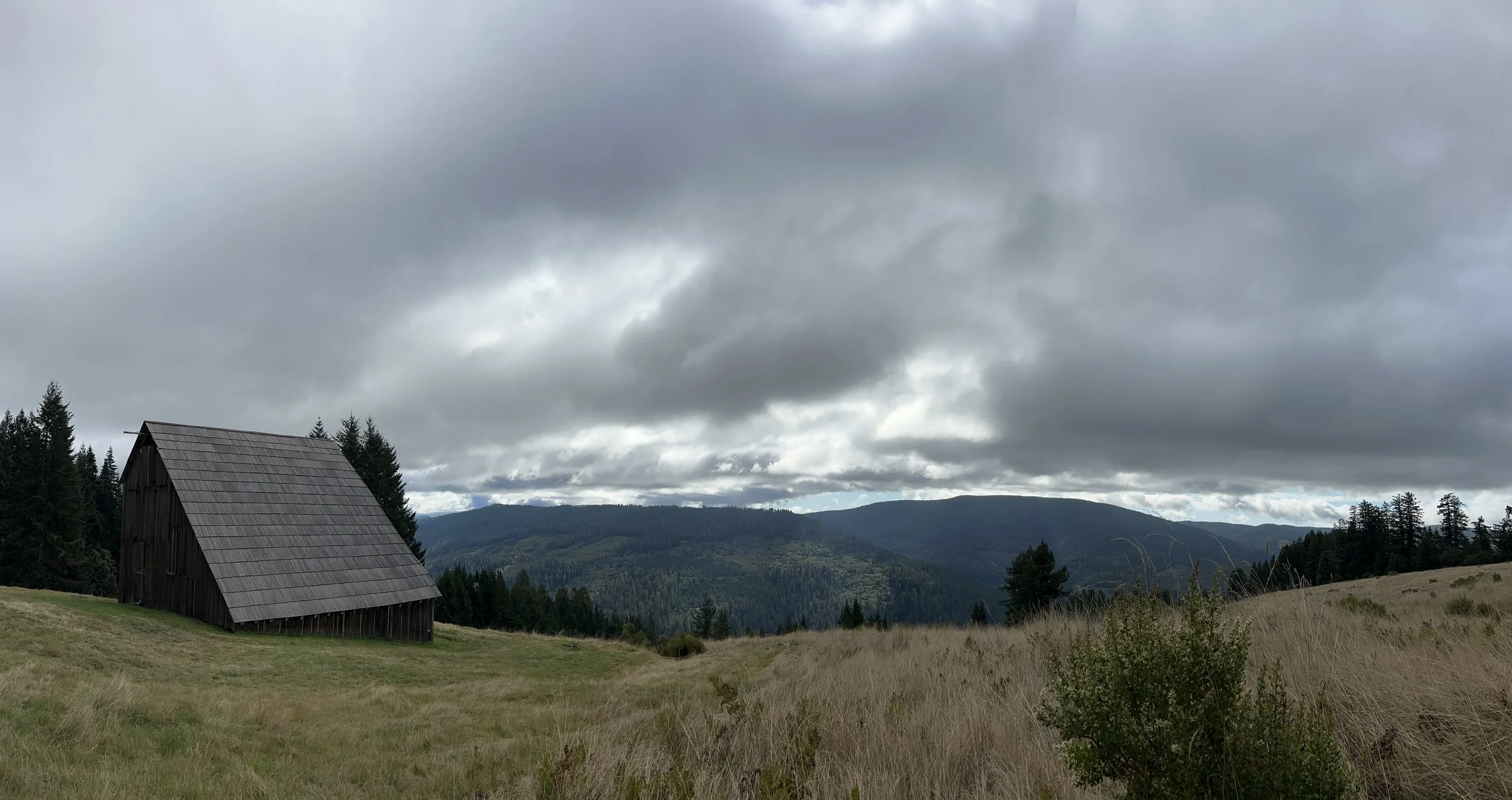 Panoramic at Lyons Ranch in Redwoods National Park