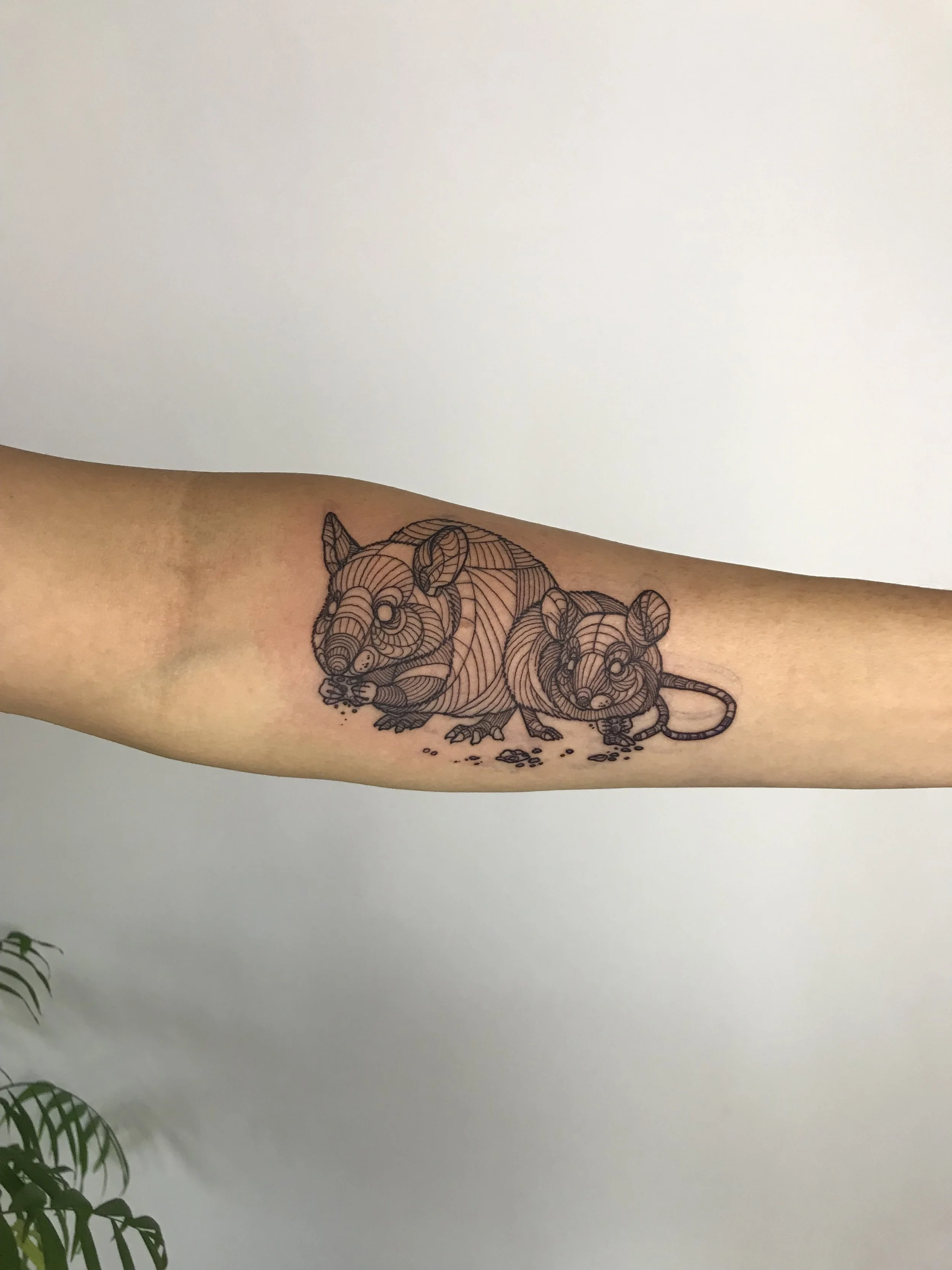 A dad mouse and baby mouse having some crumbs together