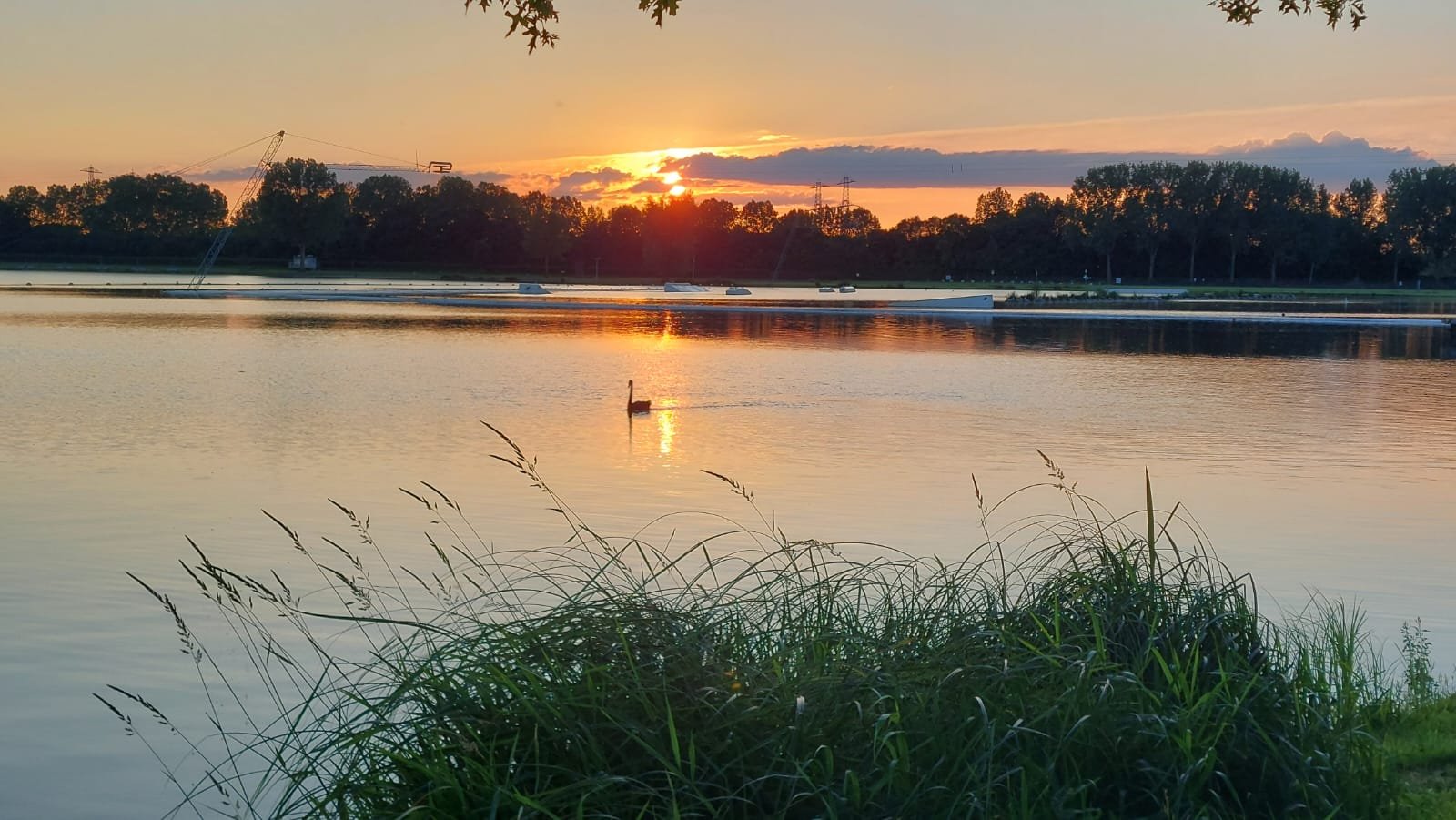 WhatsApp Image 2024-06-21 at 20.06.47.jpeg