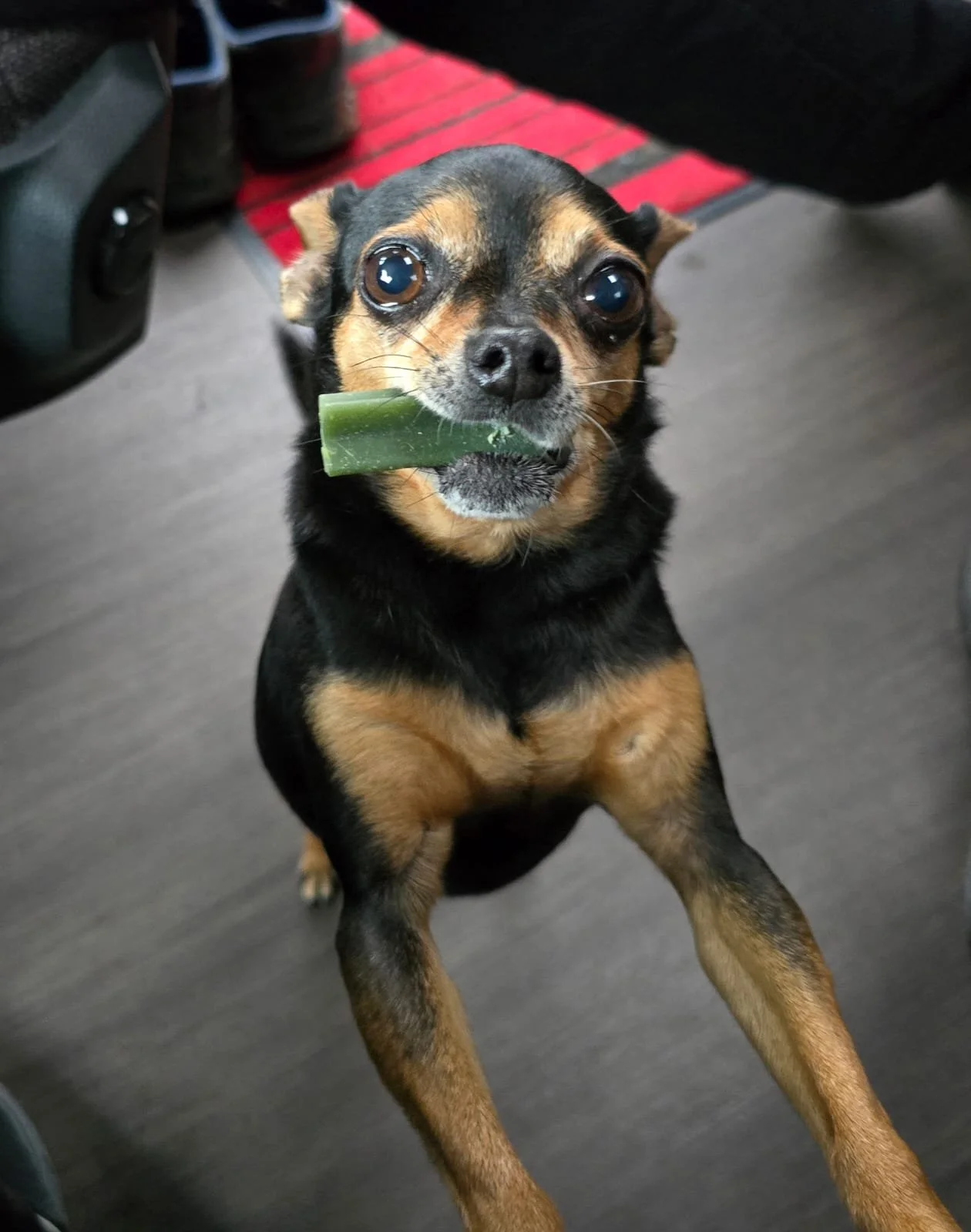 WhatsApp Image 2024-06-21 at 20.04.36 (1).jpeg