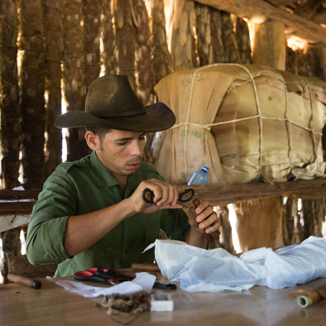 farmer rolling cigars
