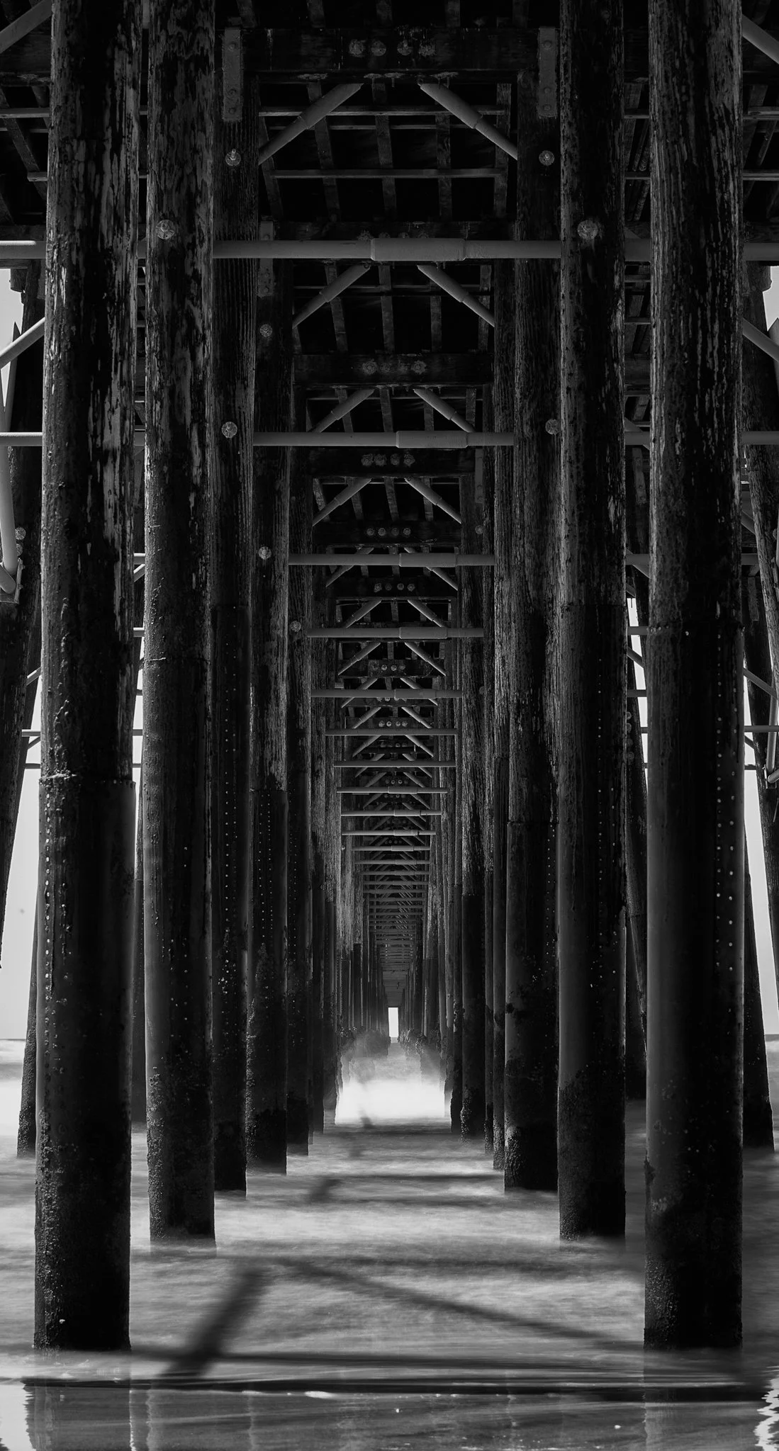 black and white image under a dock looking down the water with rafters at the top
