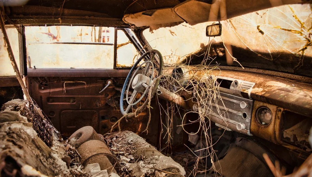 interior of old abandoned car trash and branches in front seat

