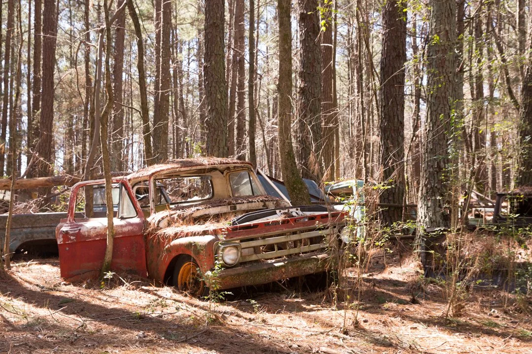 old red abandoned truck in the forest
