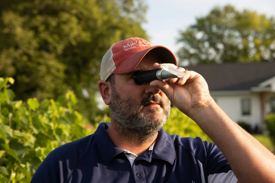 winemaker checking grapes, shot by commercial photographer Corey Rourke
