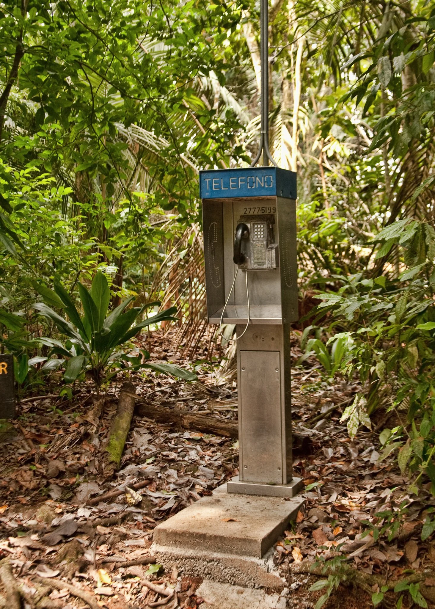 old telephone station in a forest
