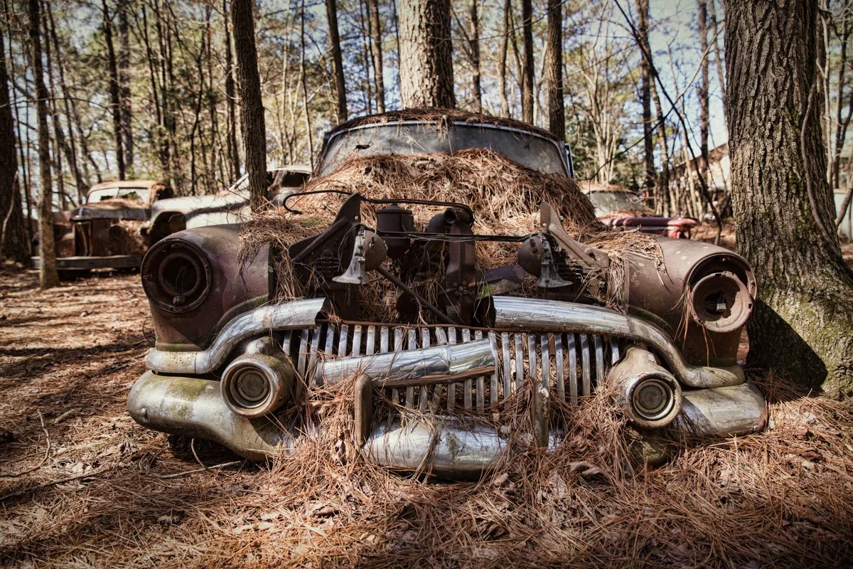 front of old abandoned car in the forest.  Grill is broken and leaves and brush cover the hood
