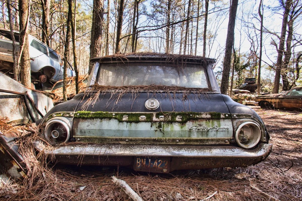 back of old ford Country Squire with moss and pine needles laying on window and trunk

