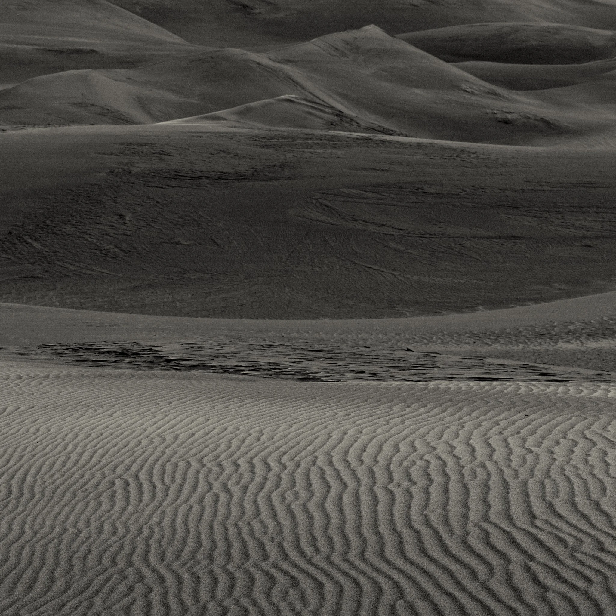black and white image of sand dunes with ripples
