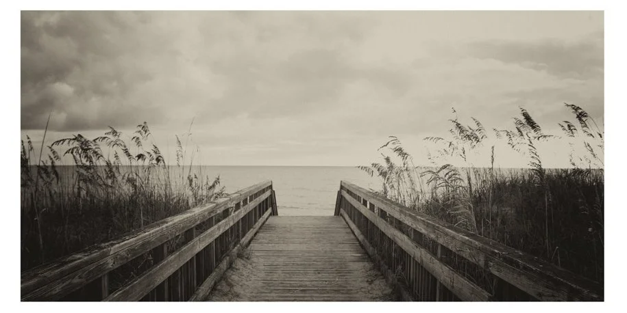 black and white image of bridge going out to the ocean with grass on both end of image
