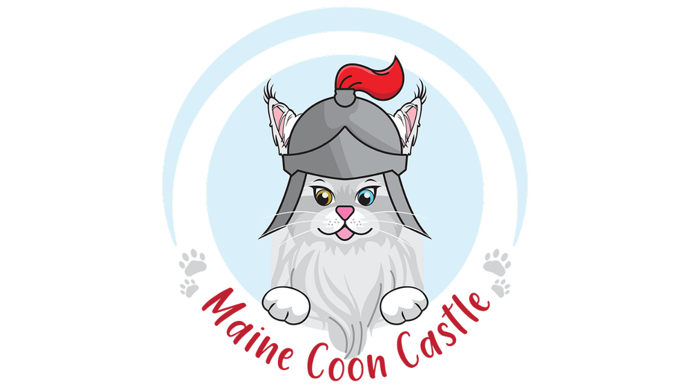 Purebred Maine Coon Kittens | Home-Raised with DNA Testing