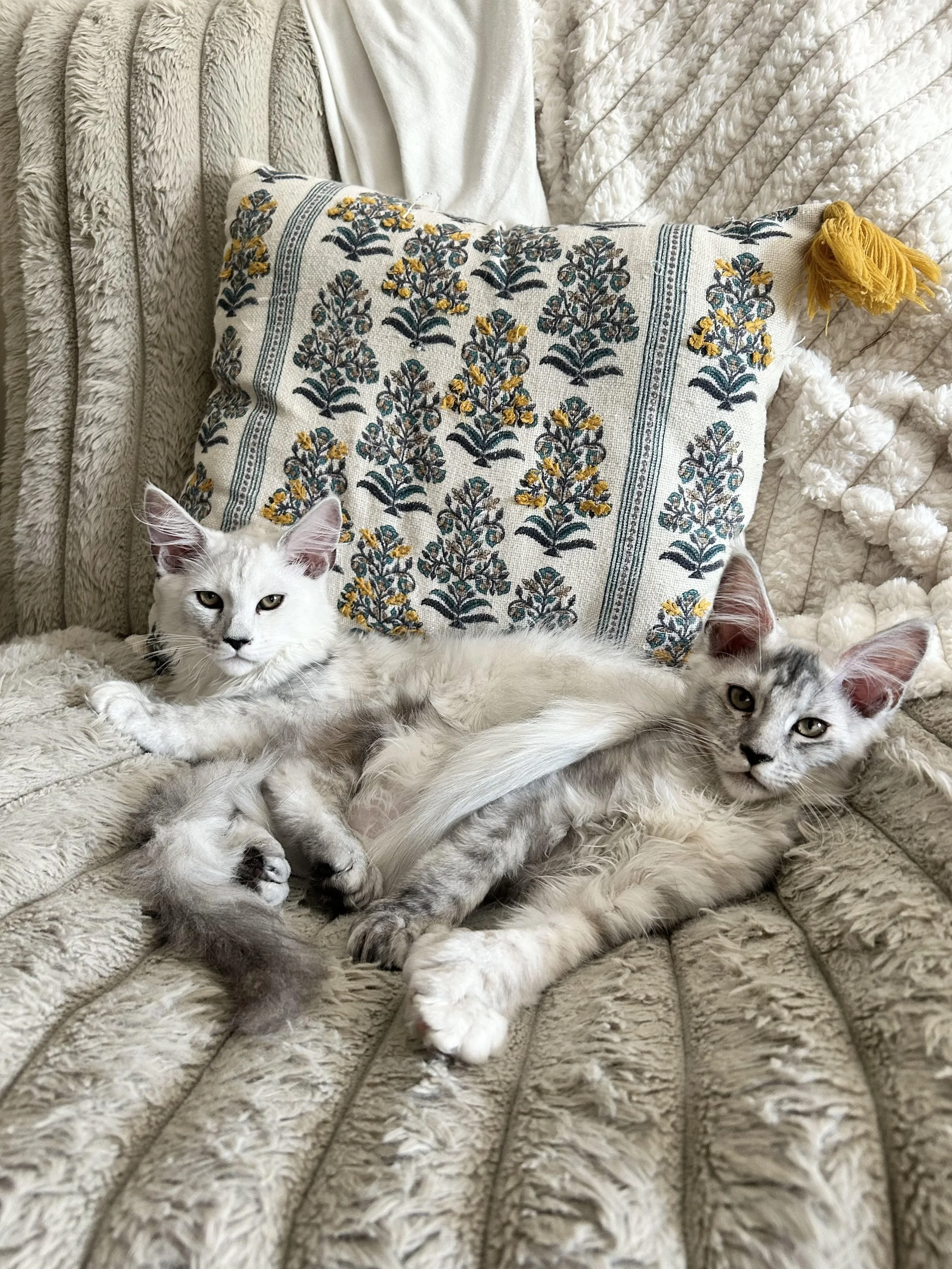 Aniston &amp; Luna