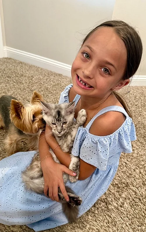 Purebred Maine Coon Kittens | Home-Raised with DNA Testing