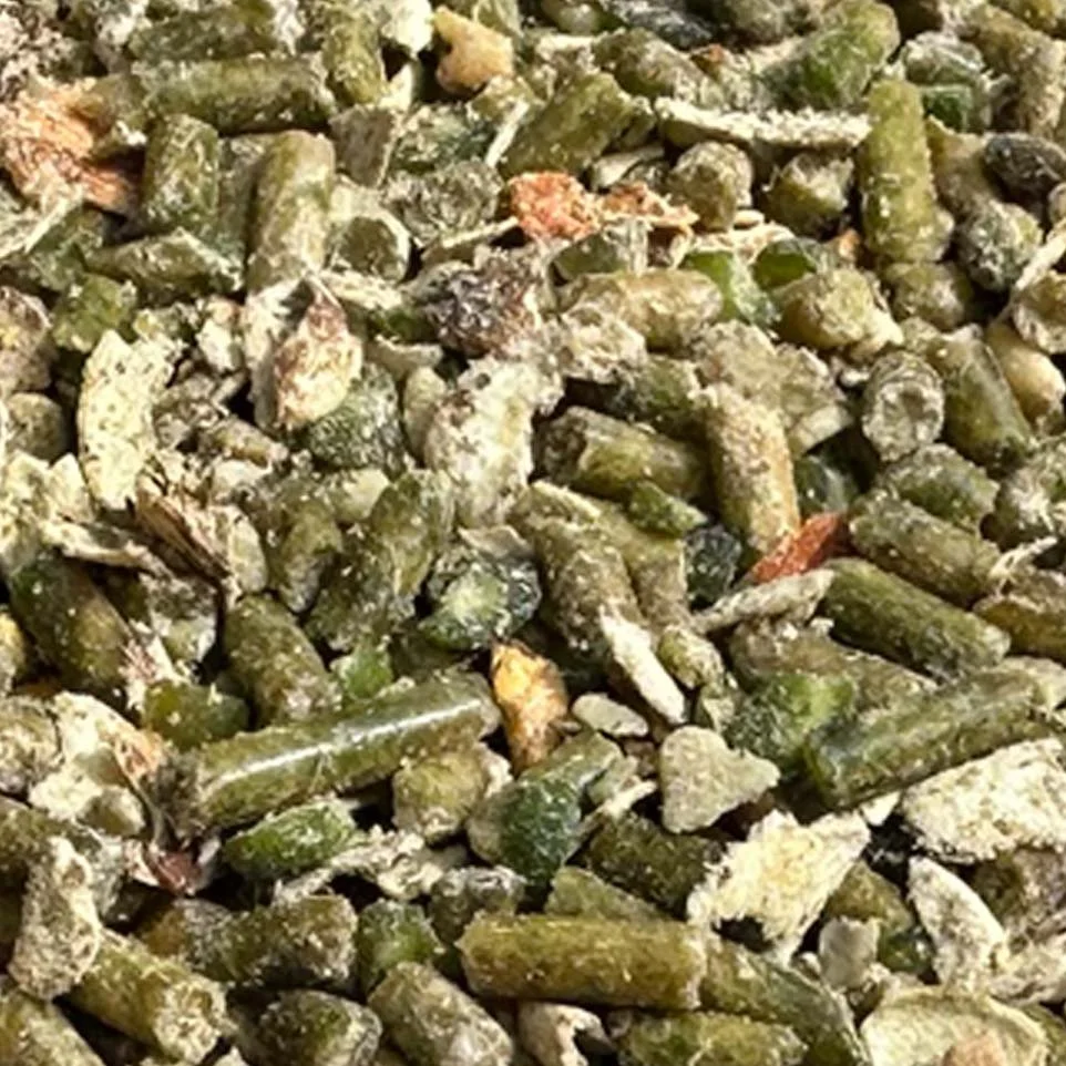 Out-to-pasture-horse-feed-2.jpg
